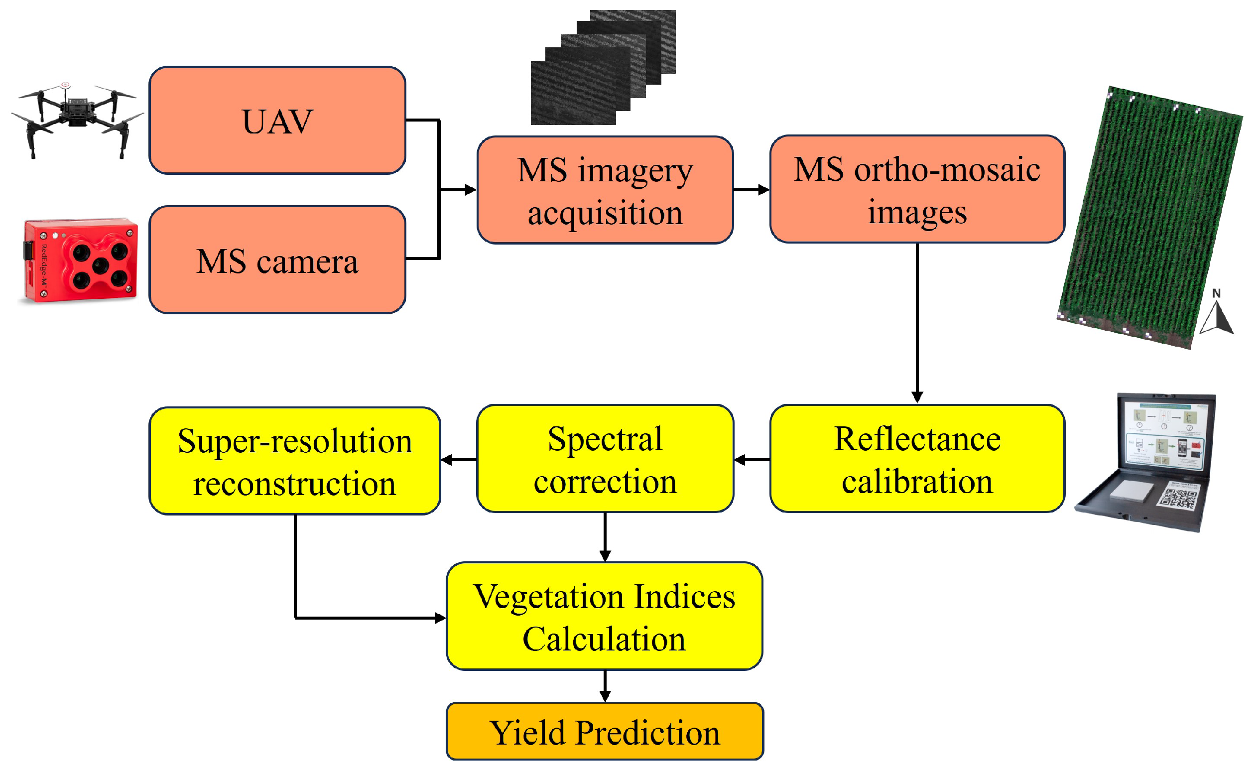 Forests 15 00859 g002