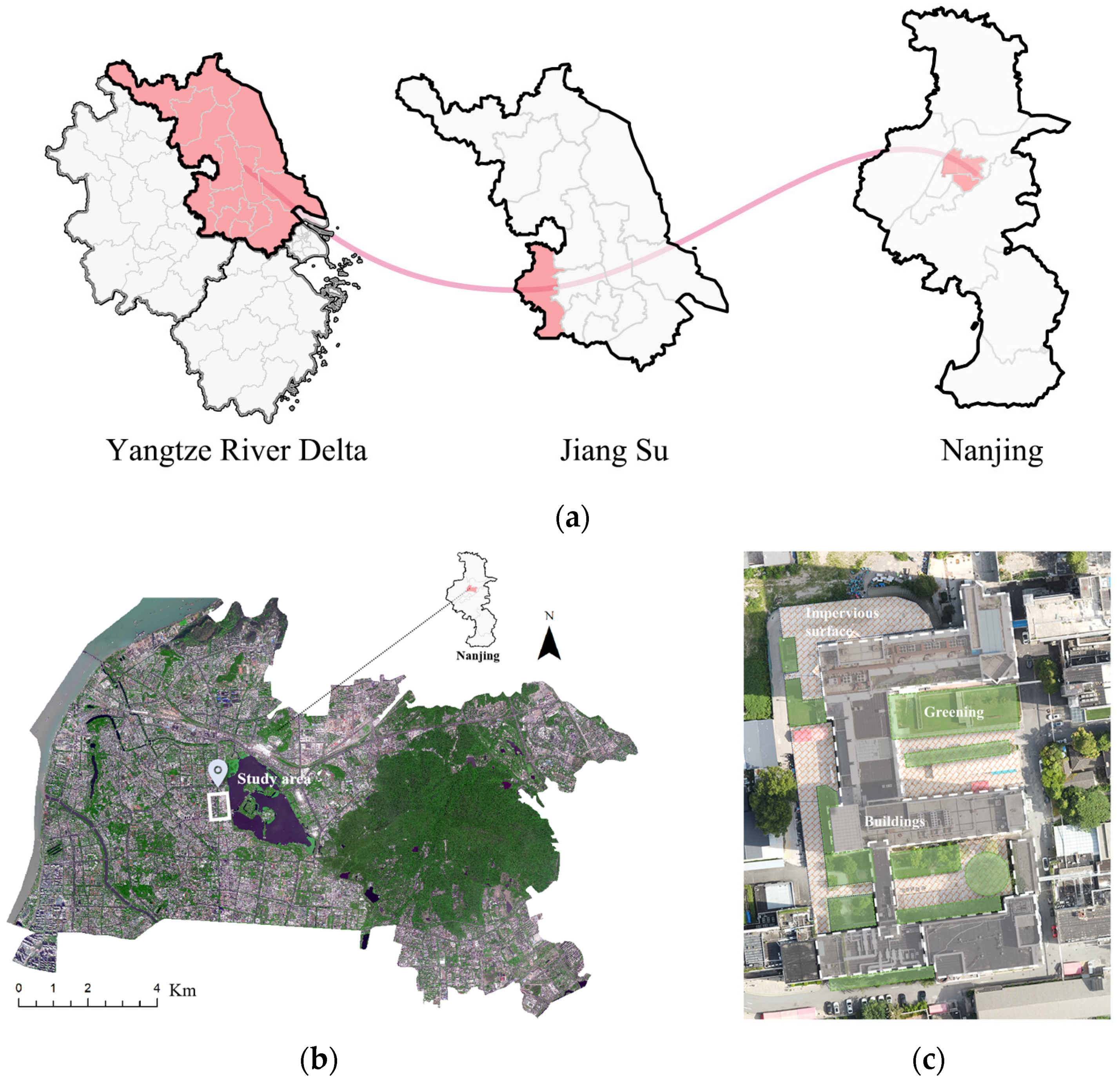 Forests 15 00862 g002