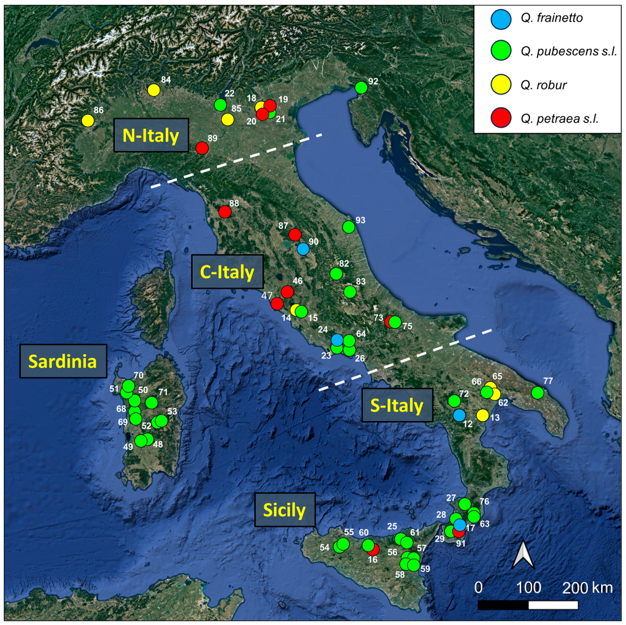 Forests 15 00864 g001