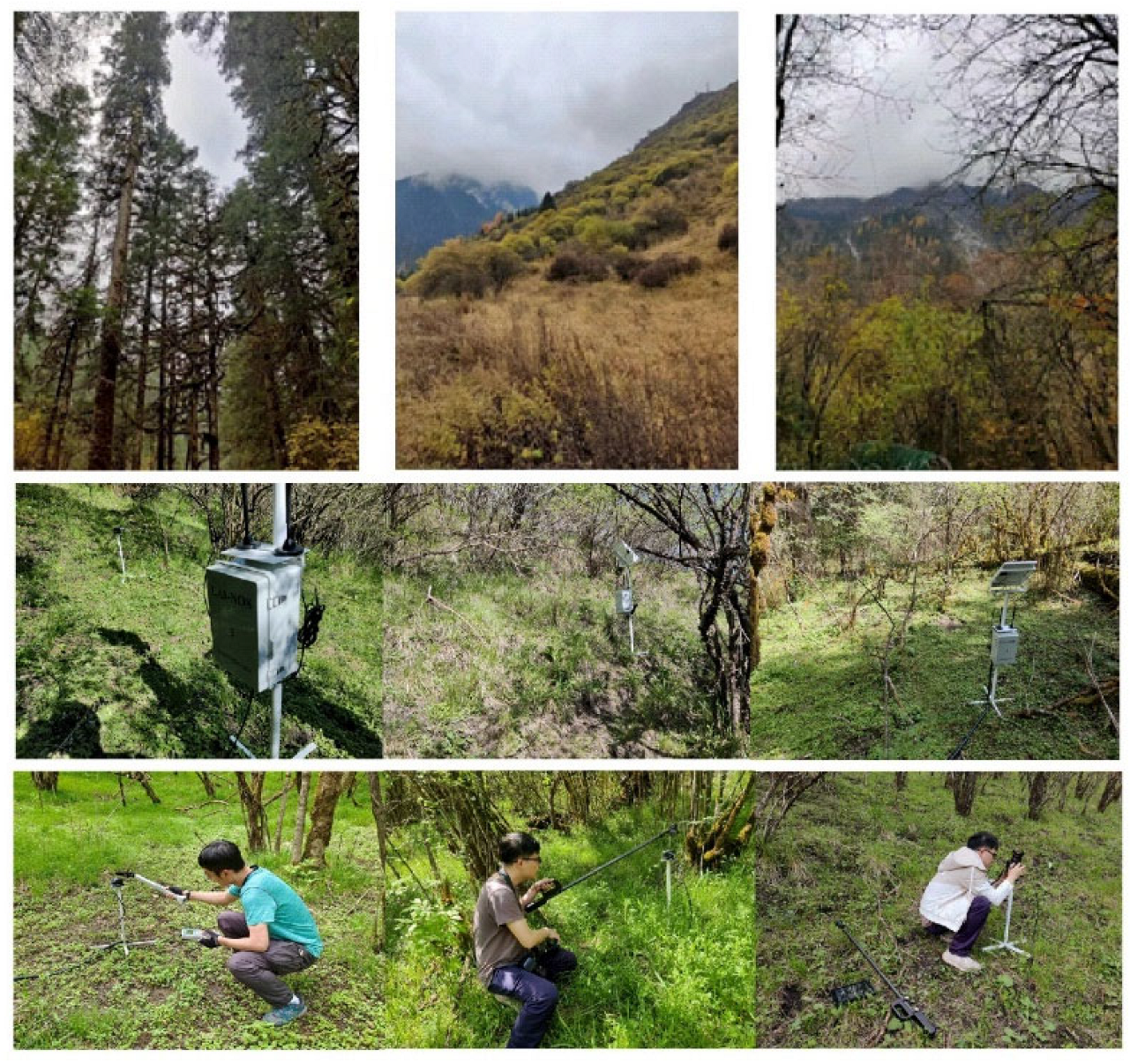 Forests 15 00868 g002