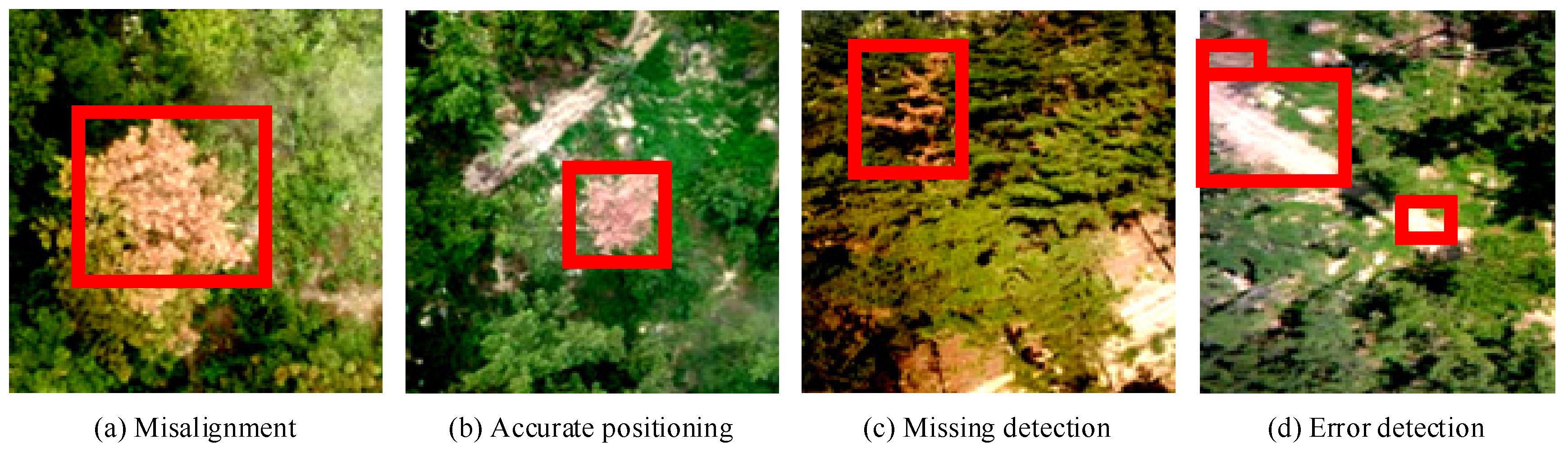 Forests 15 00869 g009