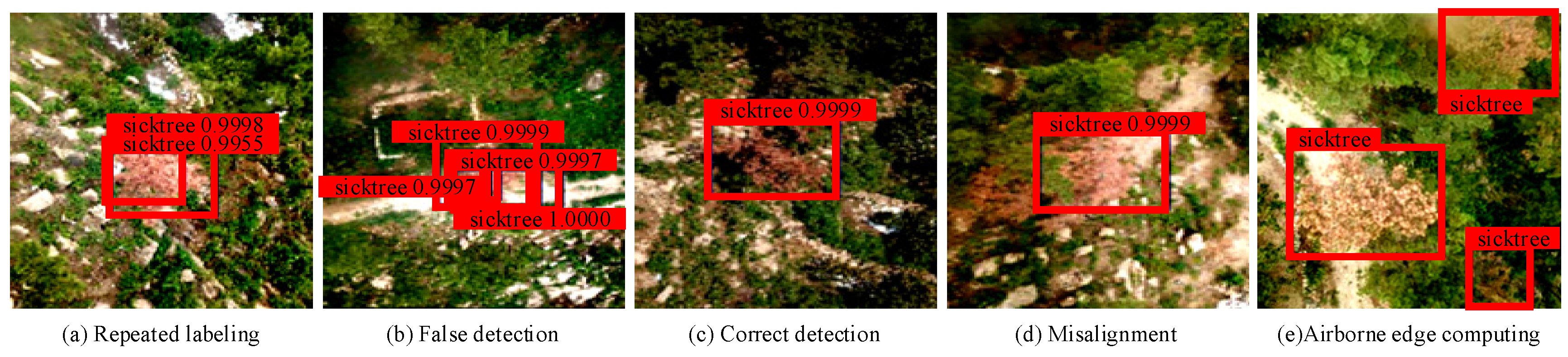 Forests 15 00869 g014