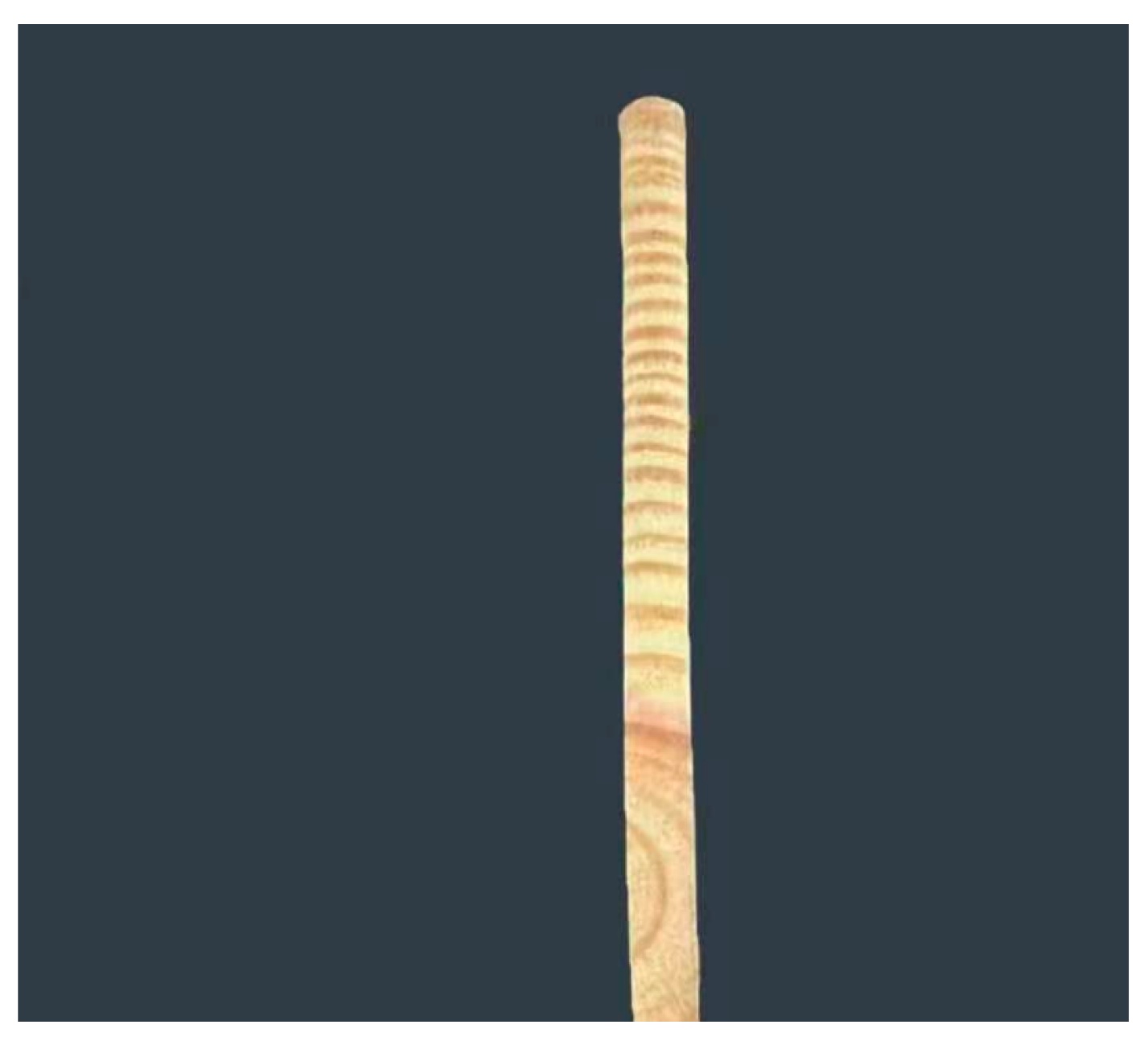 Forests 15 00870 g001