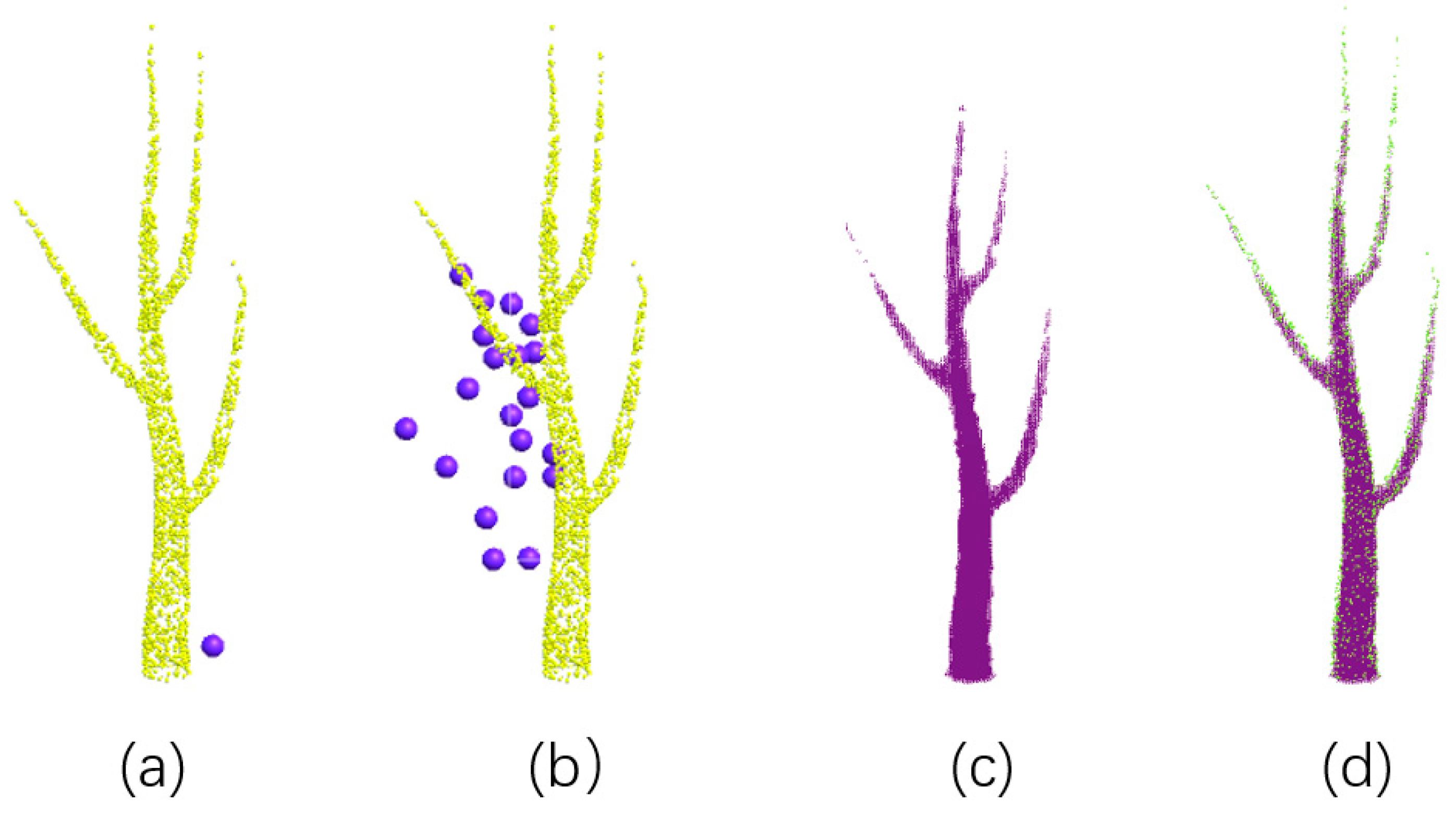 Forests 15 00880 g010