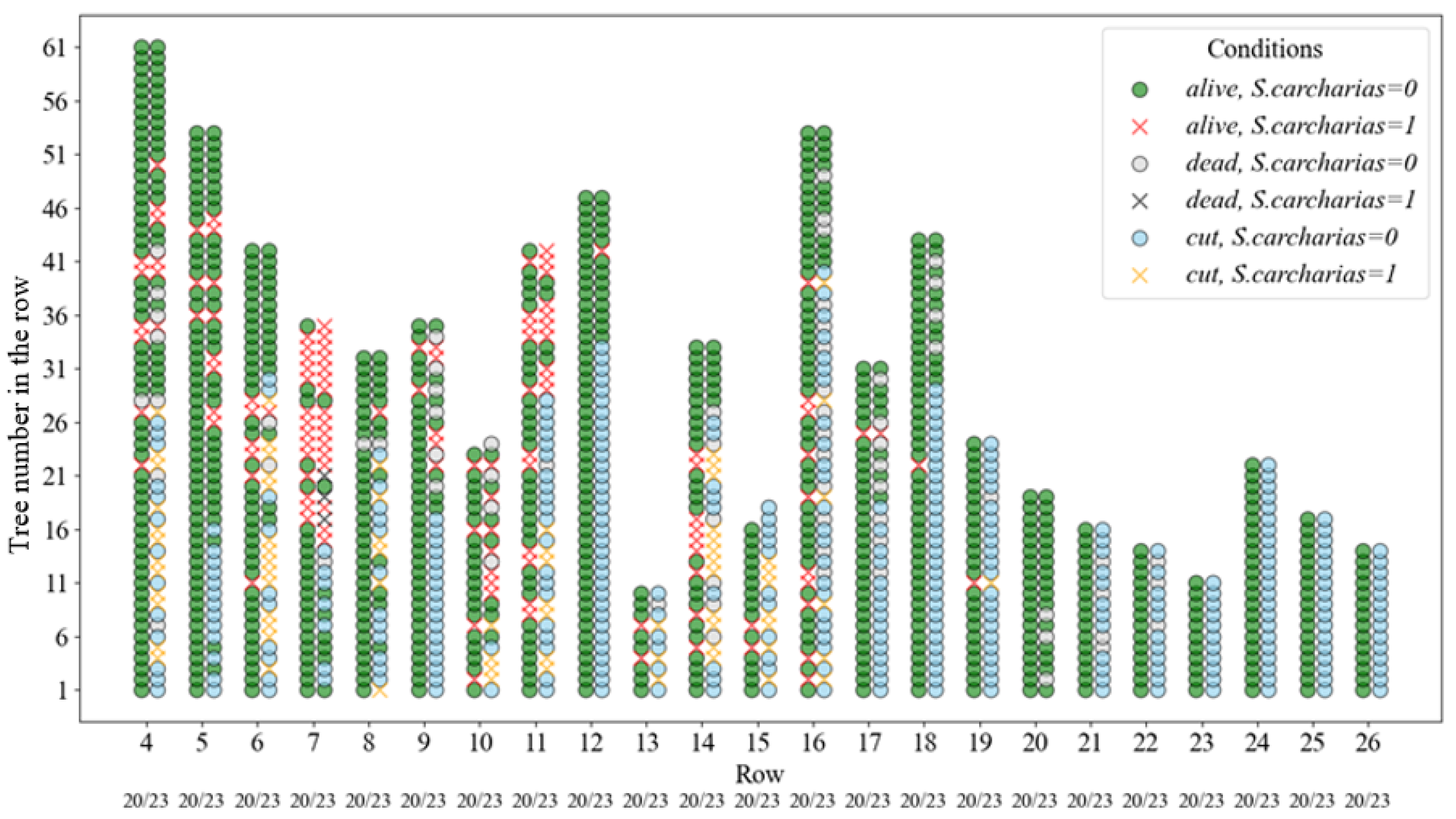 Forests 15 00882 g002 Forests 15 00882 g002