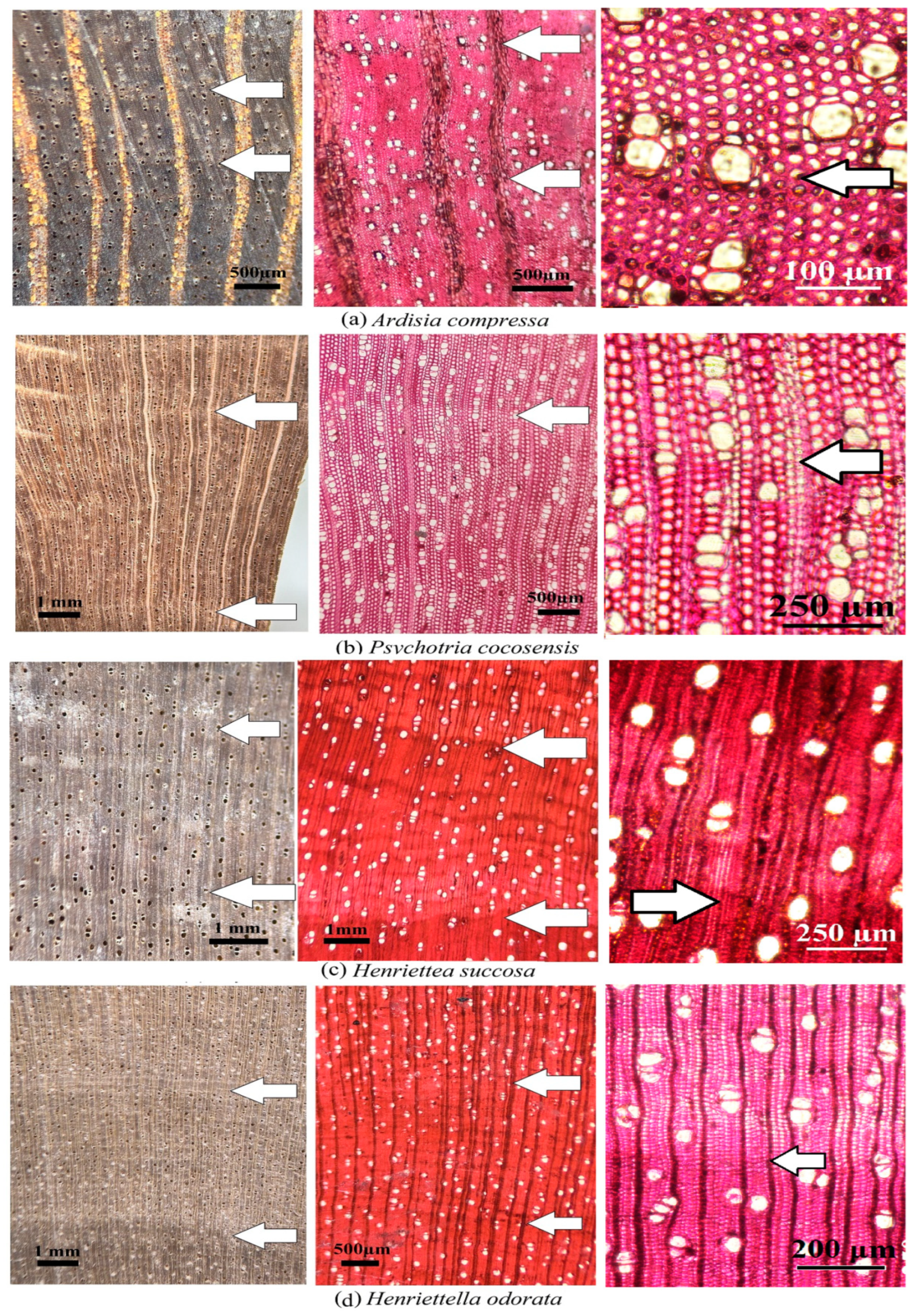 Forests 15 00885 g003