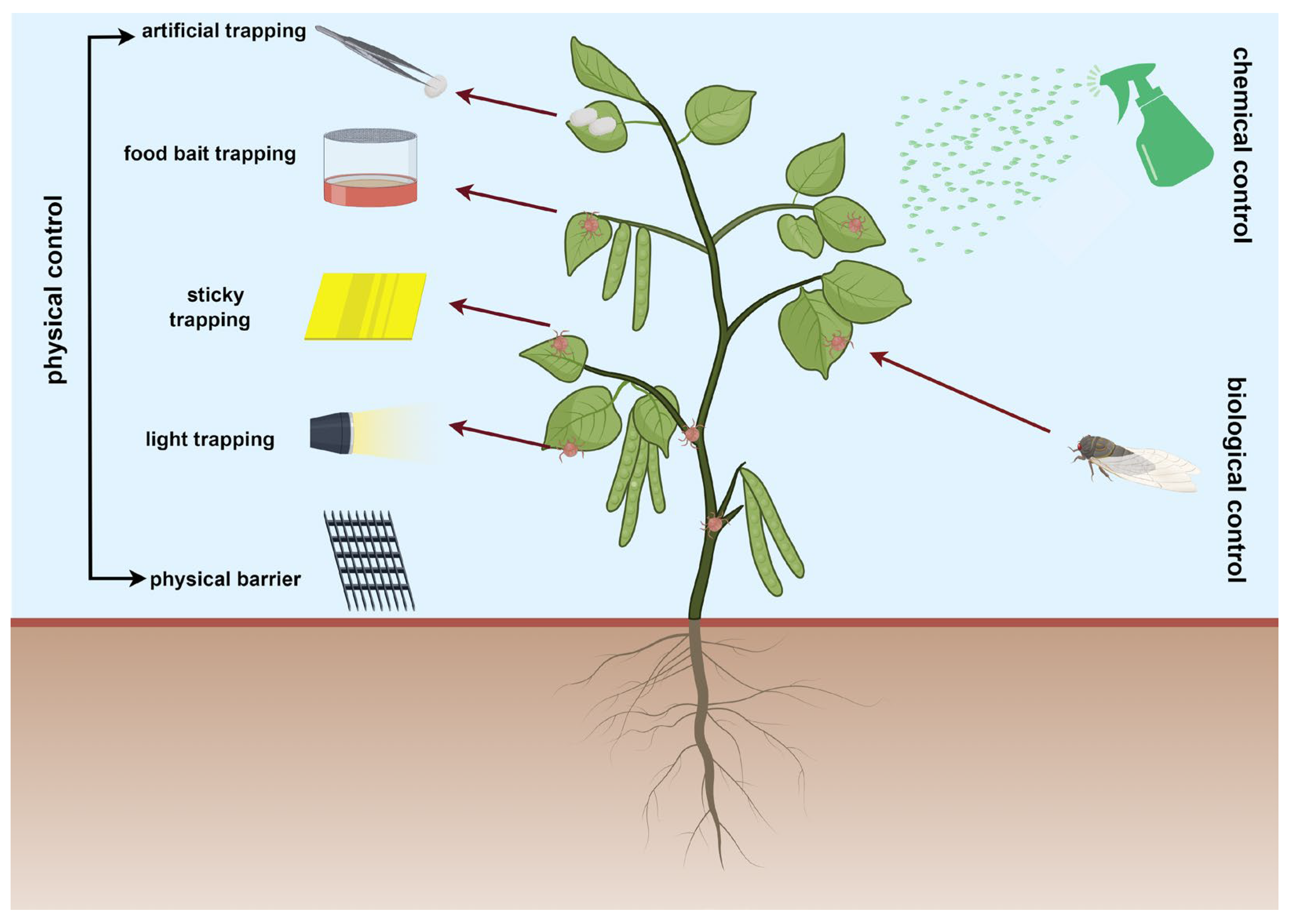 Forests 15 00890 g001 Forests 15 00890 g001