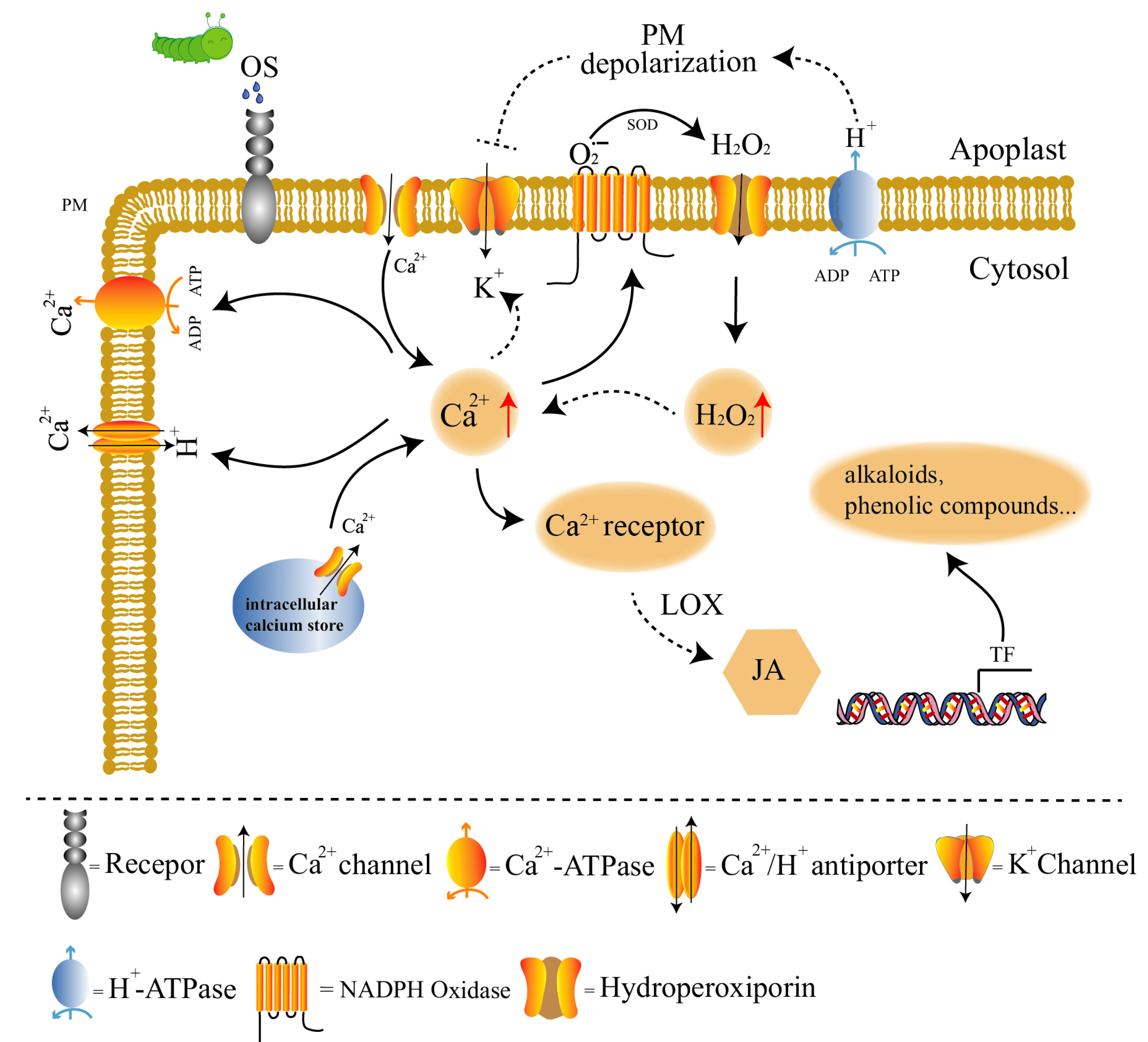 Forests 15 00890 g002 Forests 15 00890 g002