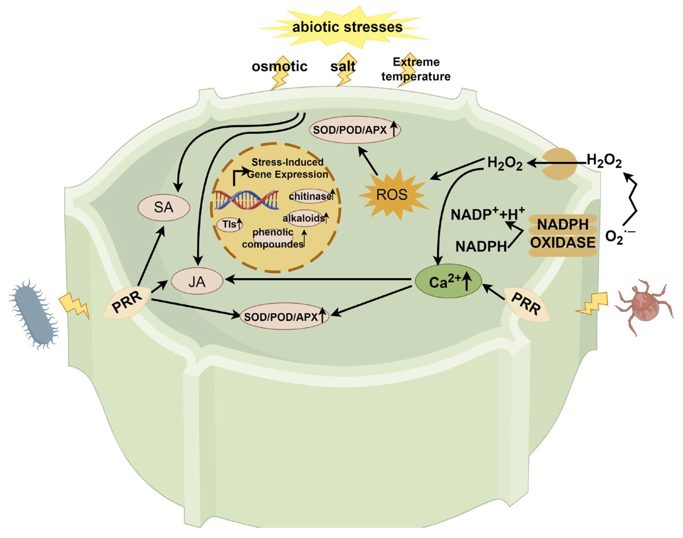 Forests 15 00890 g003 Forests 15 00890 g003