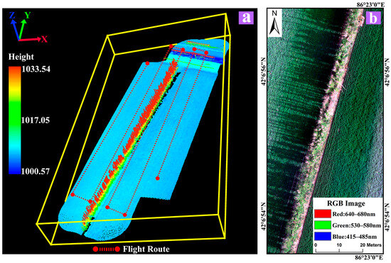 elsa様オーダー エルザジャパン公式オンラインショップ | ELSA ONLINE SHOP