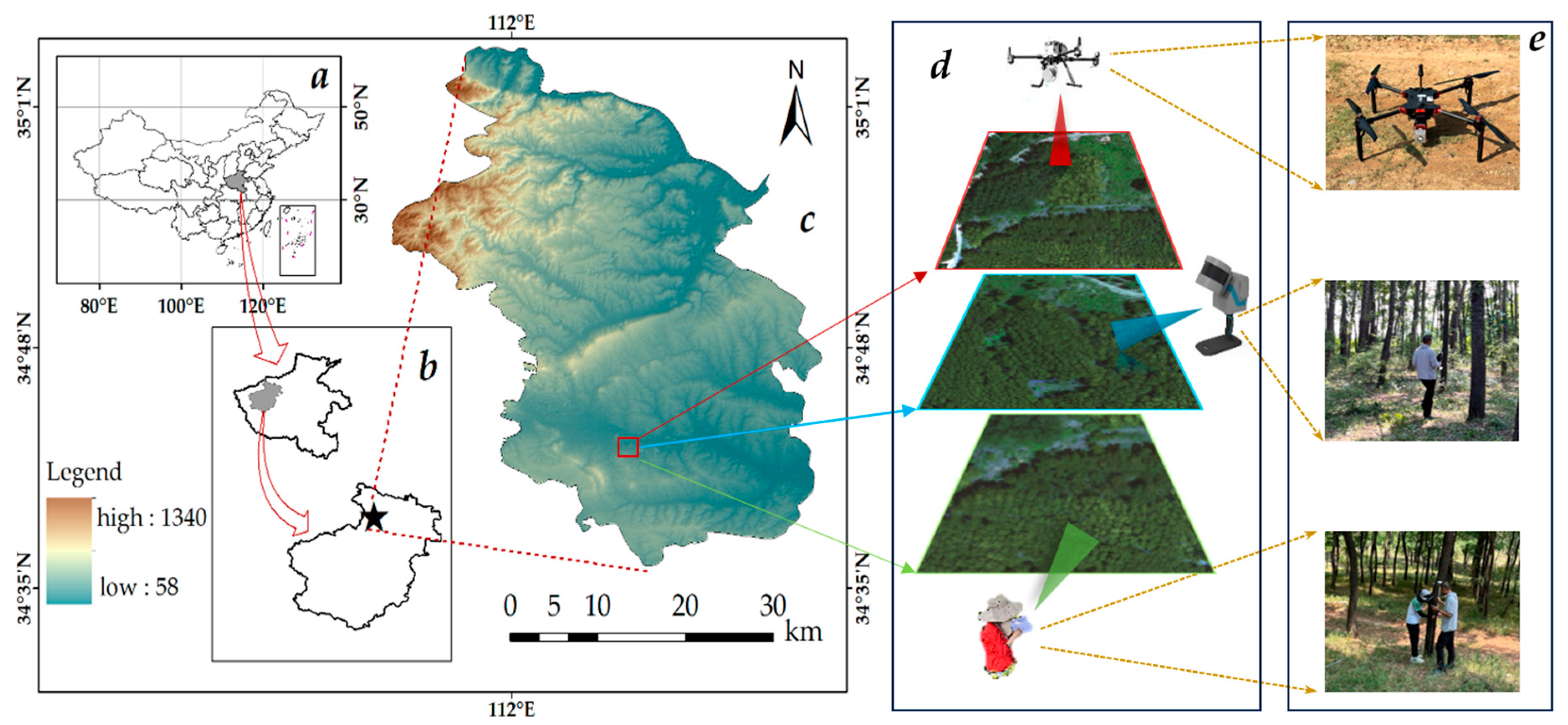 Forests 15 00893 g001