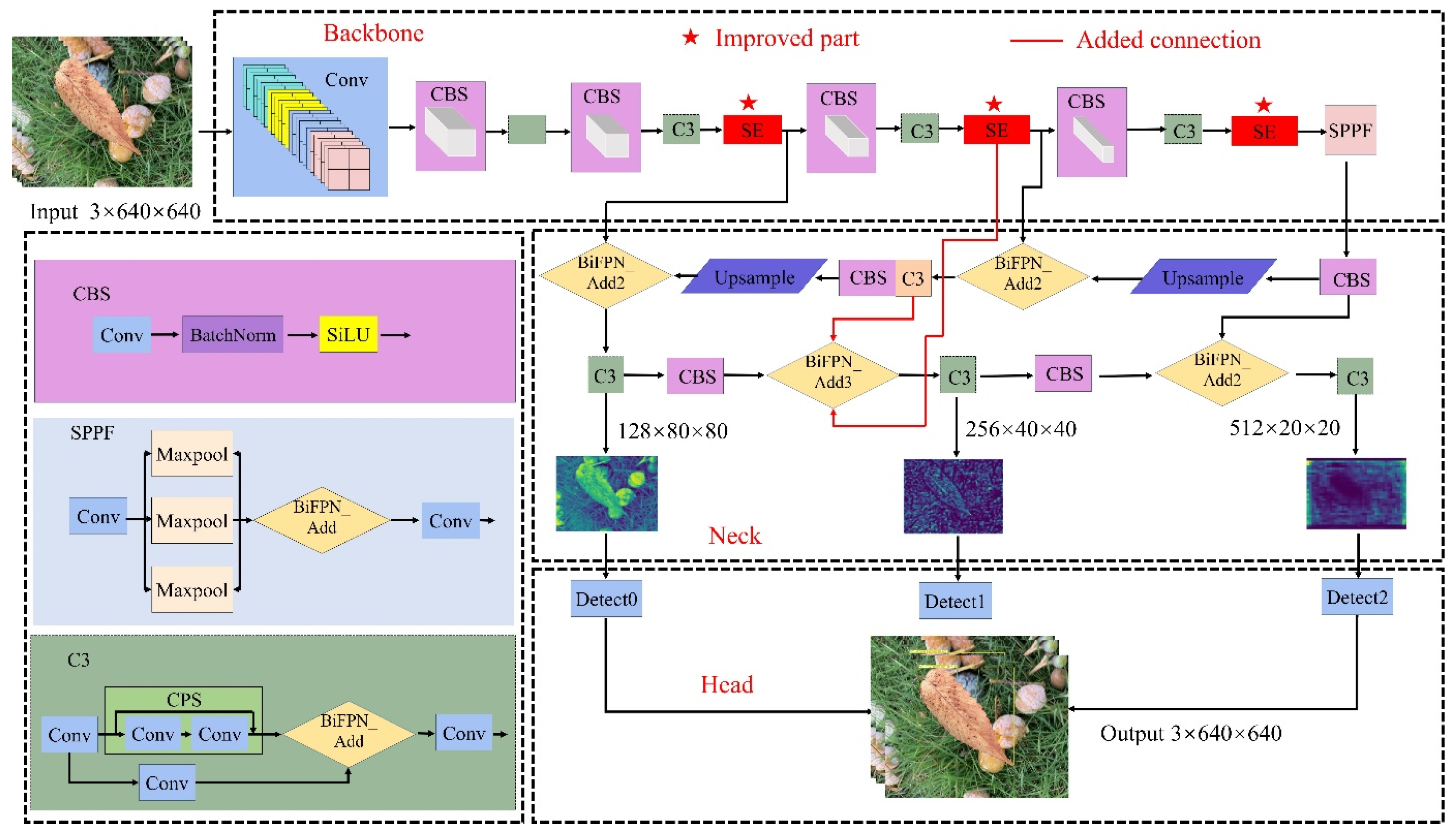 Forests 15 00894 g004