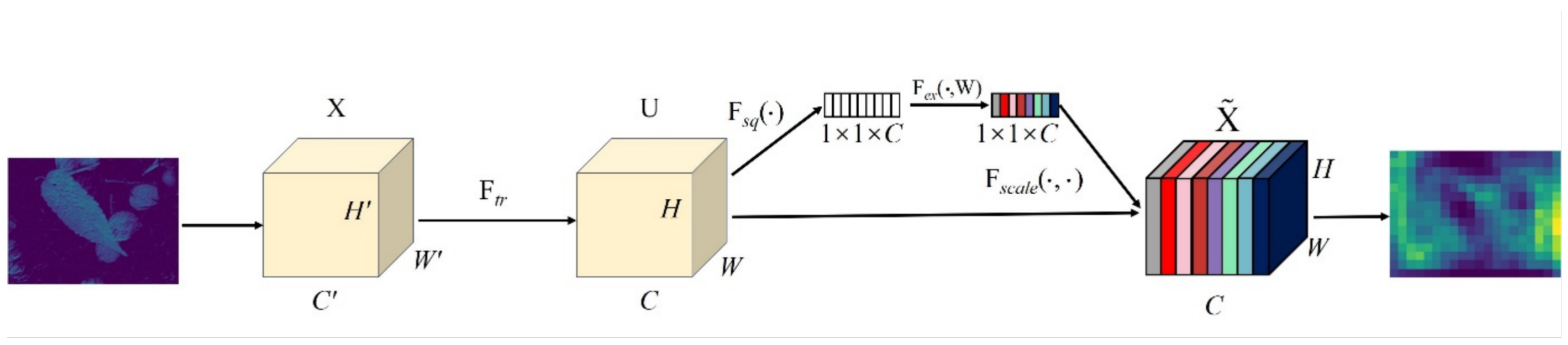 Forests 15 00894 g005