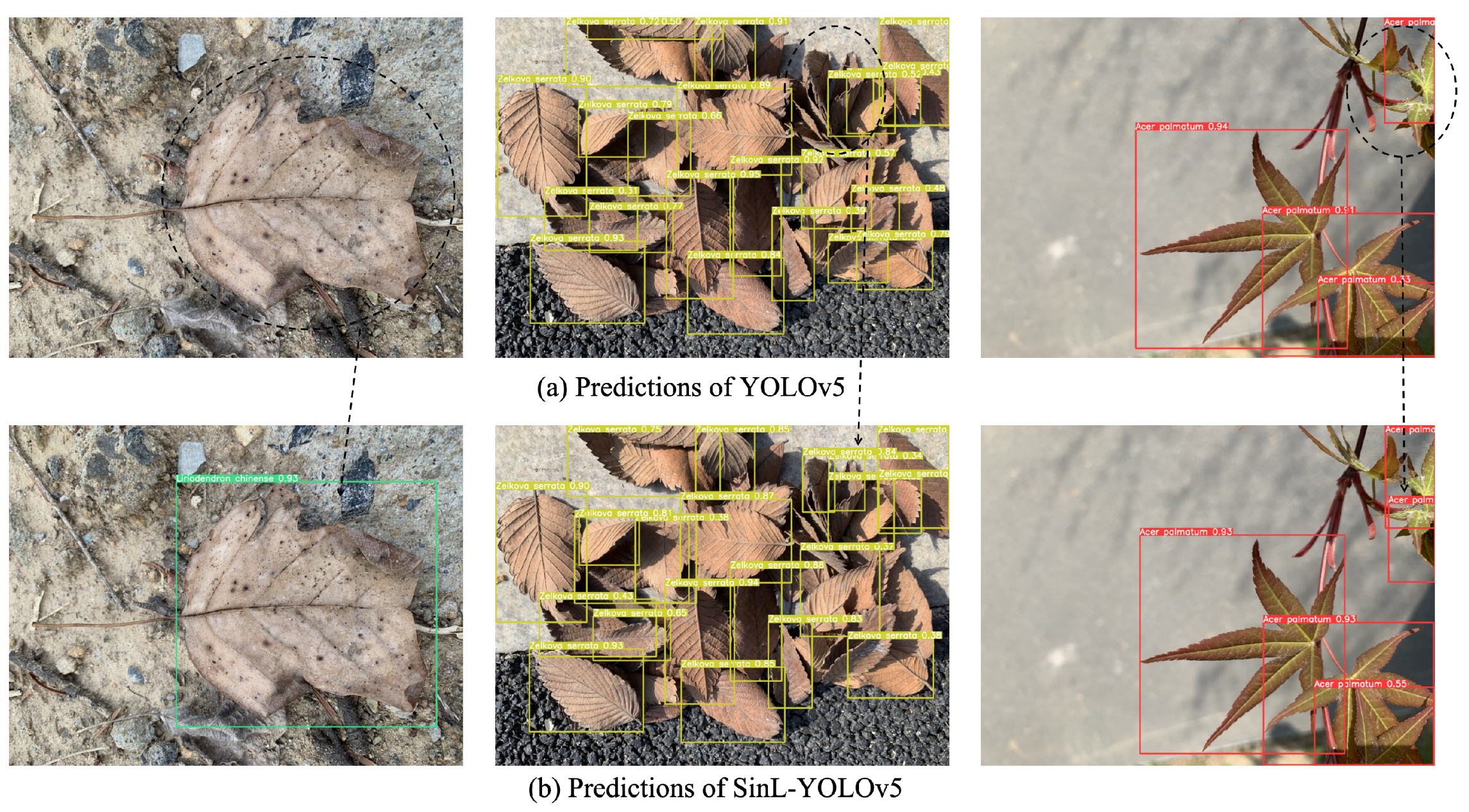Forests 15 00894 g010