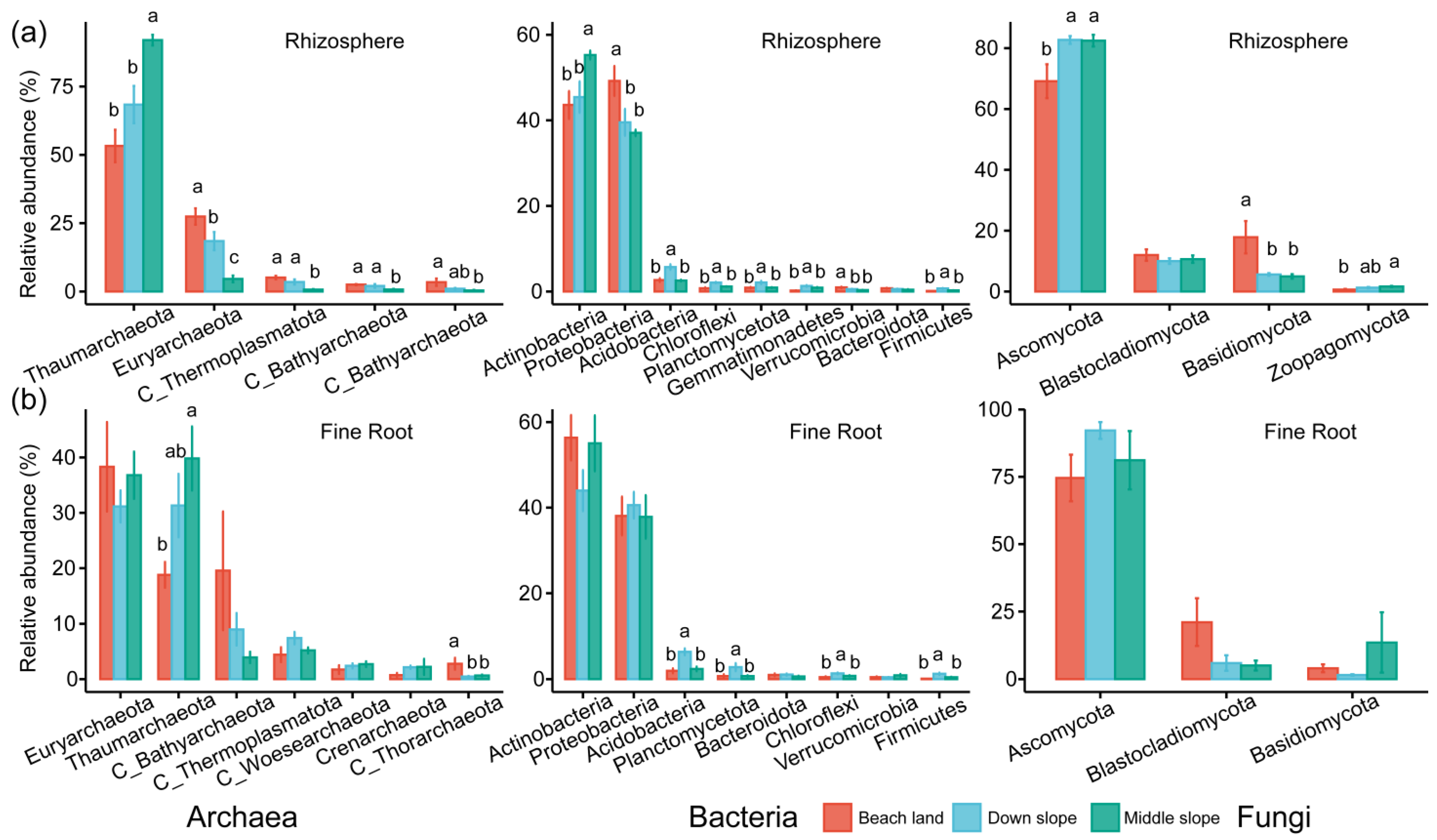 Forests 15 00897 g001