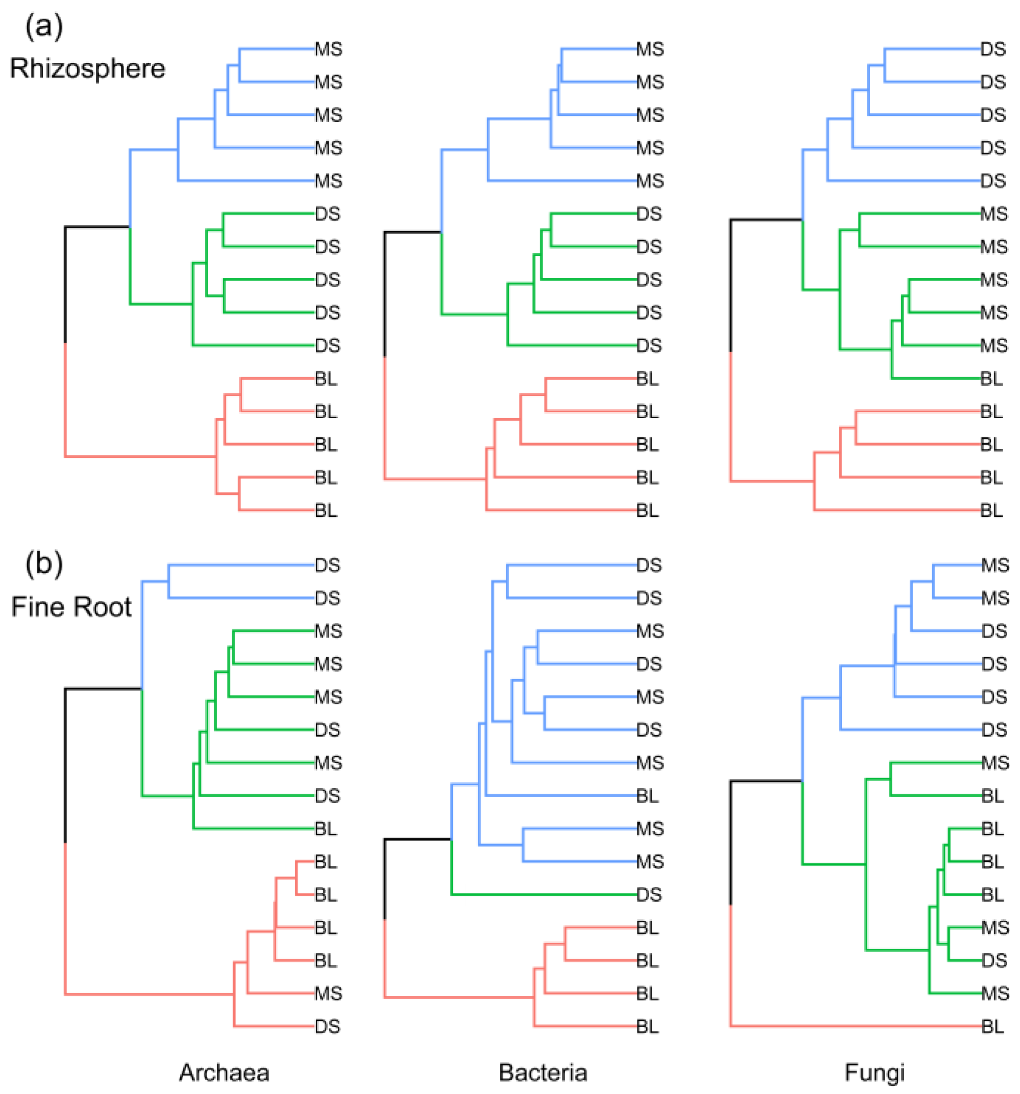 Forests 15 00897 g003