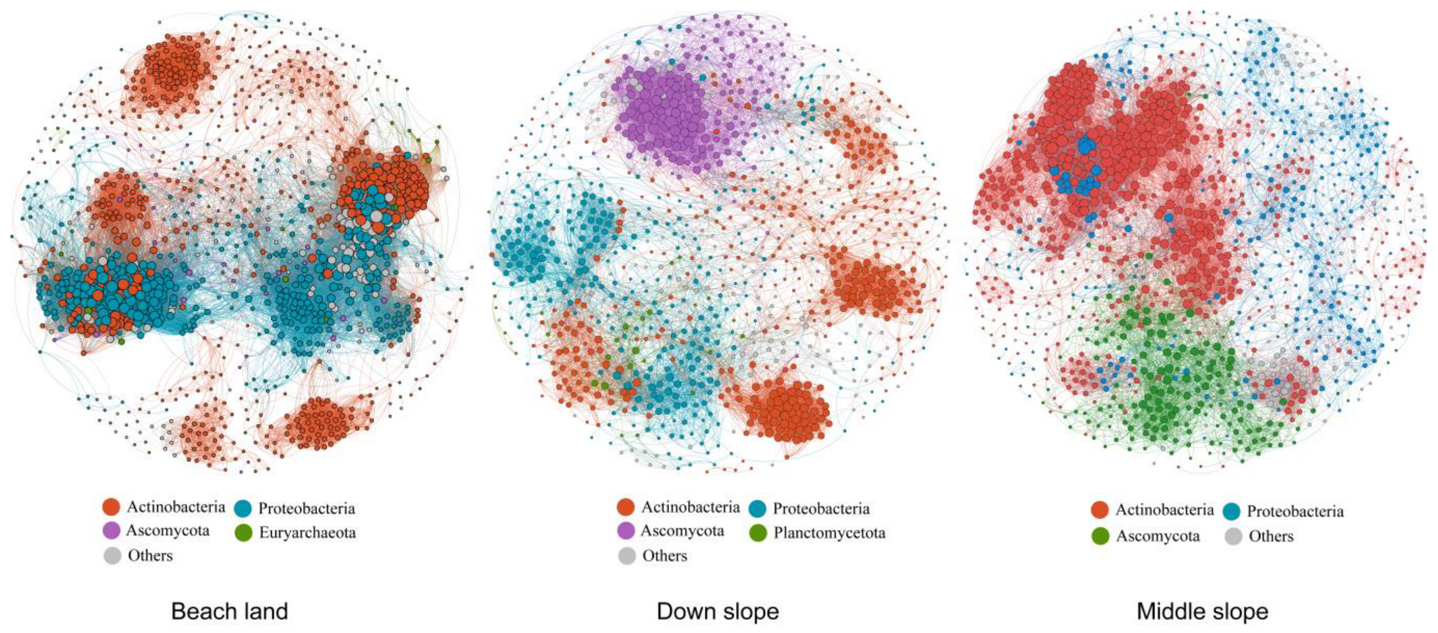 Forests 15 00897 g004