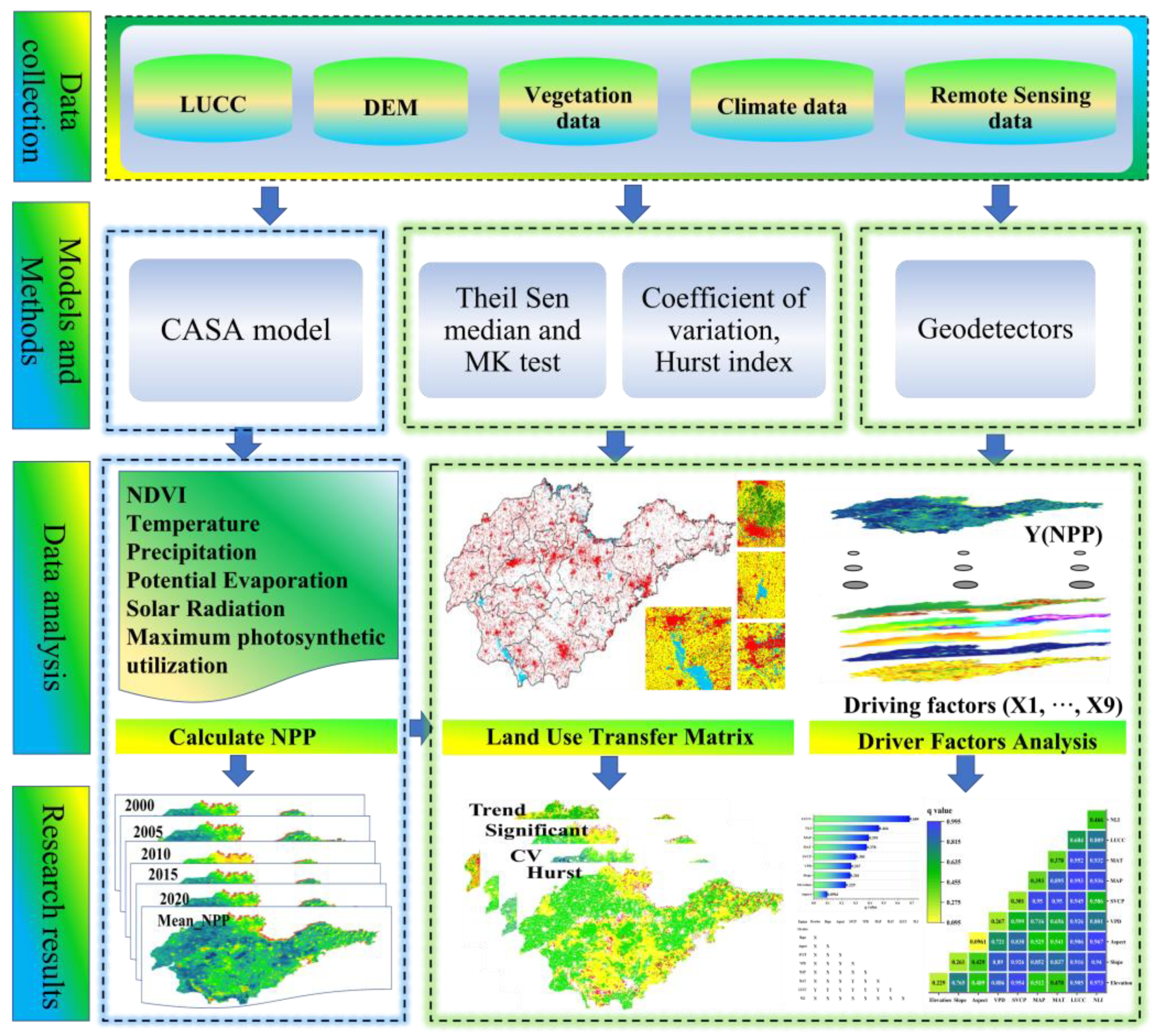 Forests 15 00898 g003