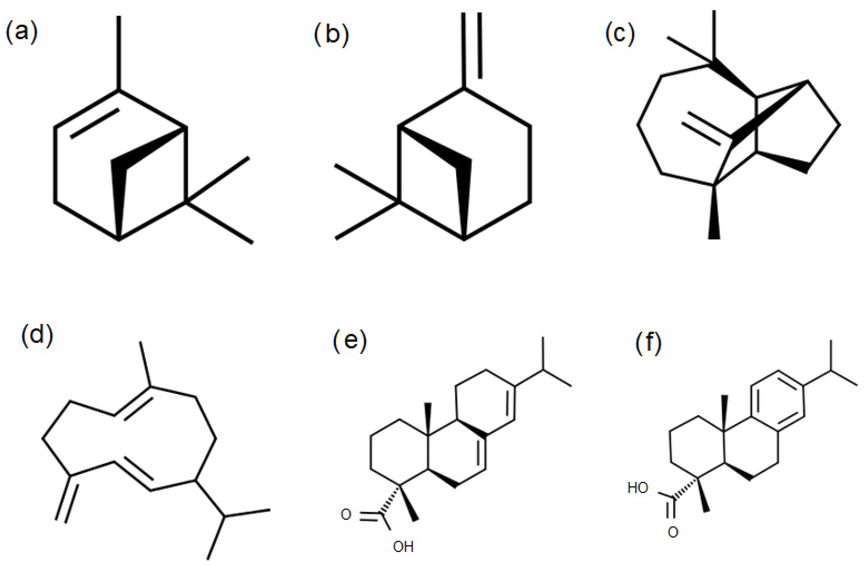 Forests 15 00904 g001
