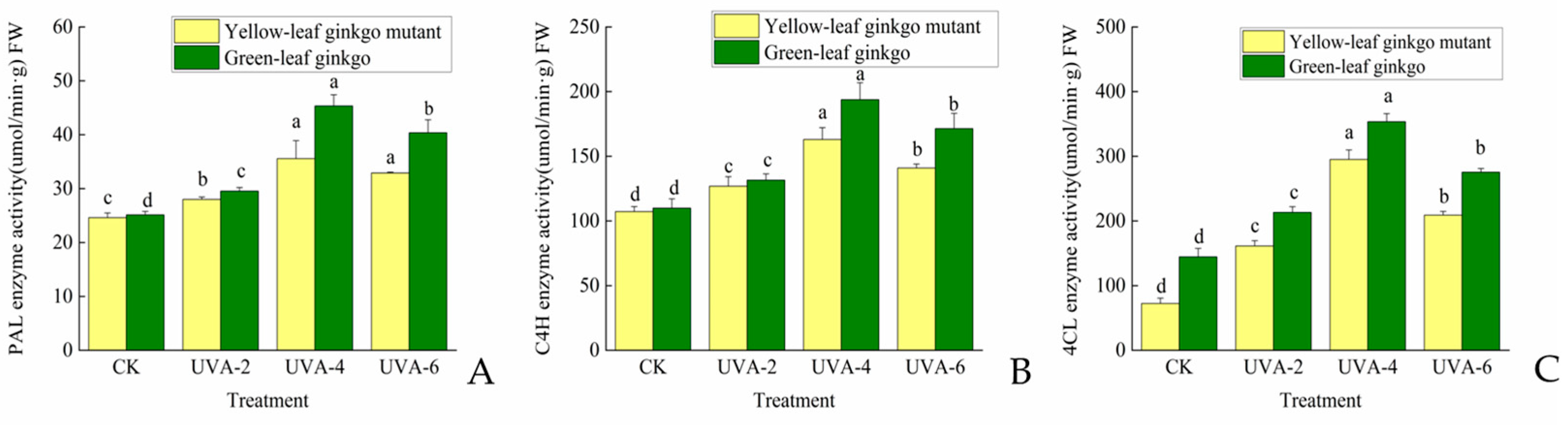 Forests 15 00909 g002