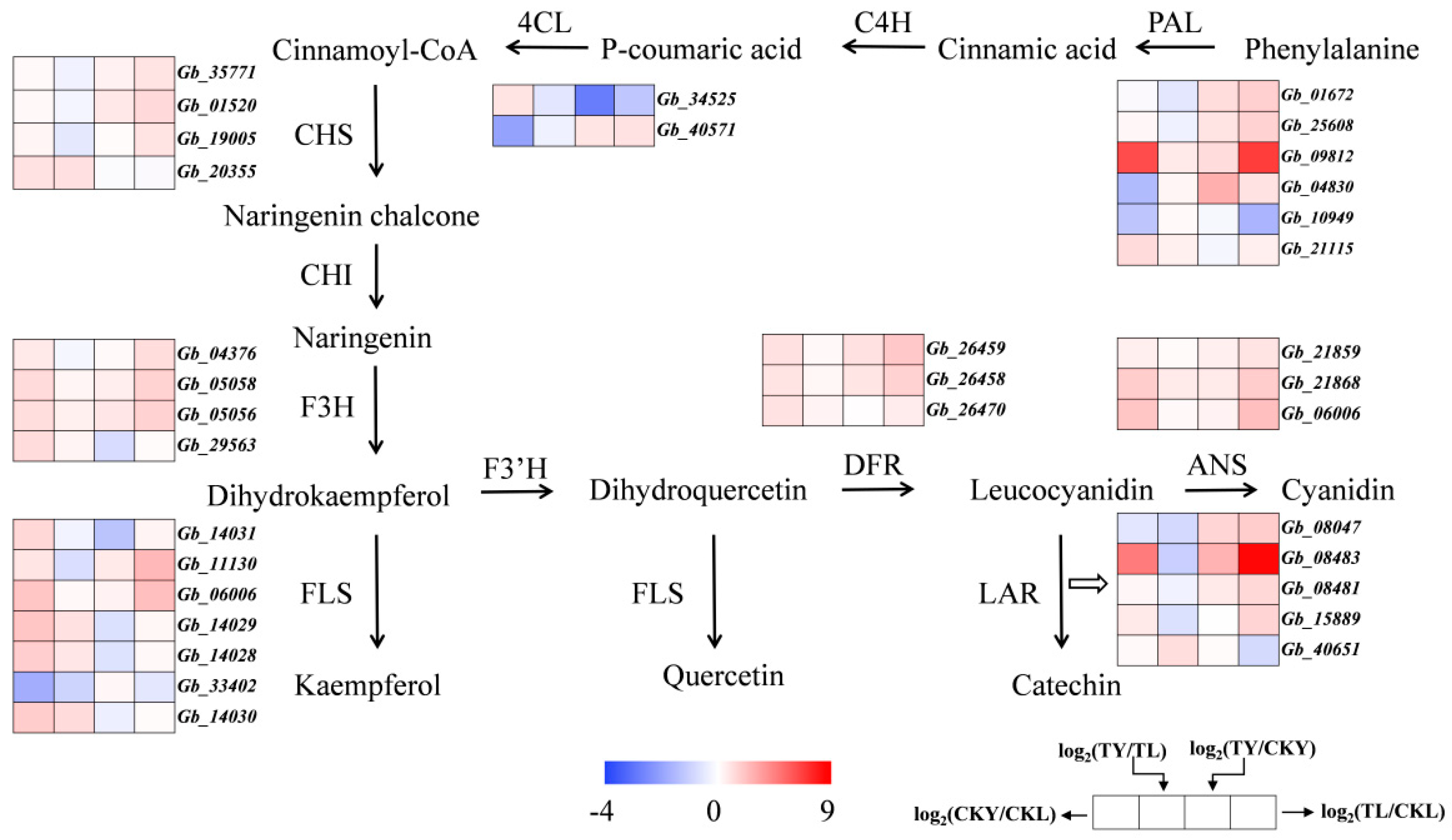 Forests 15 00909 g008