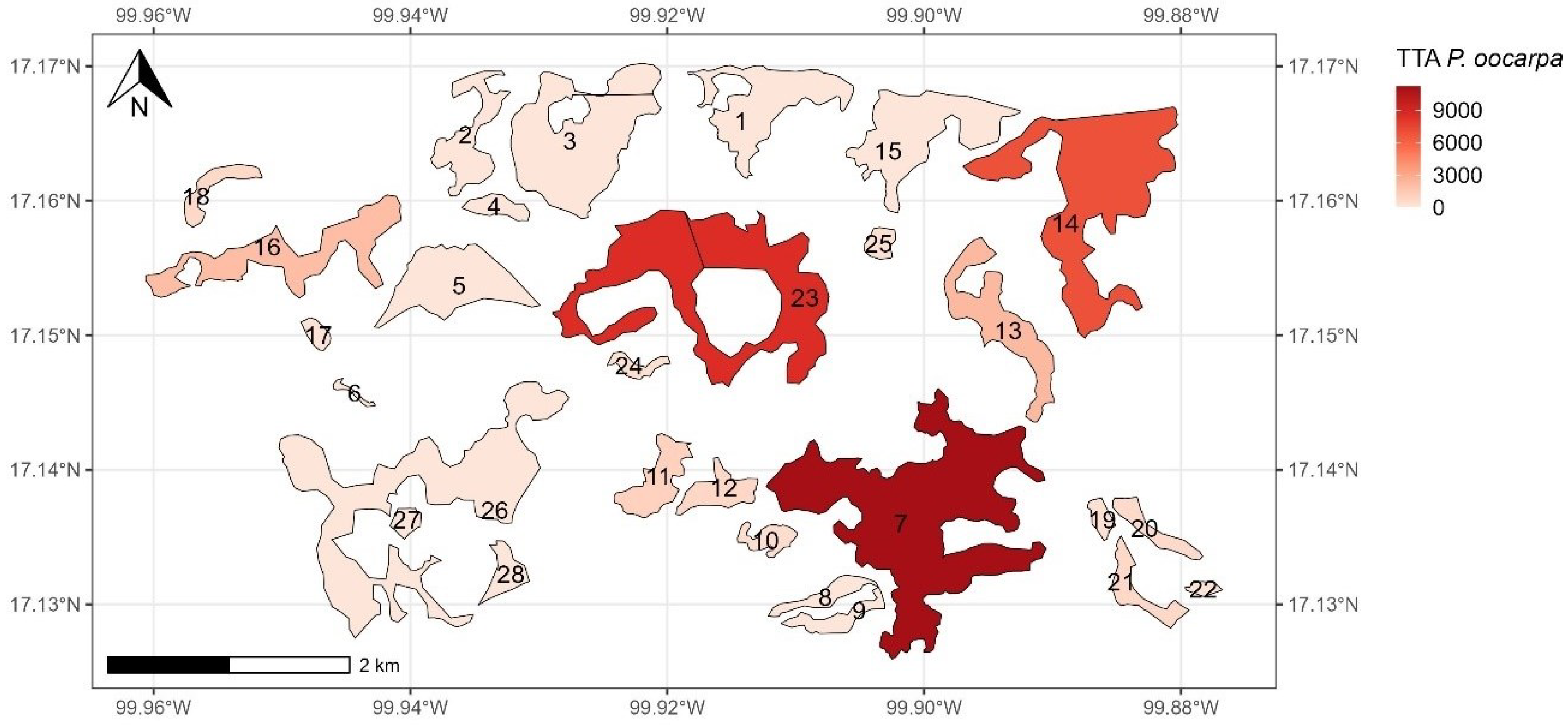 Forests 15 00916 g004