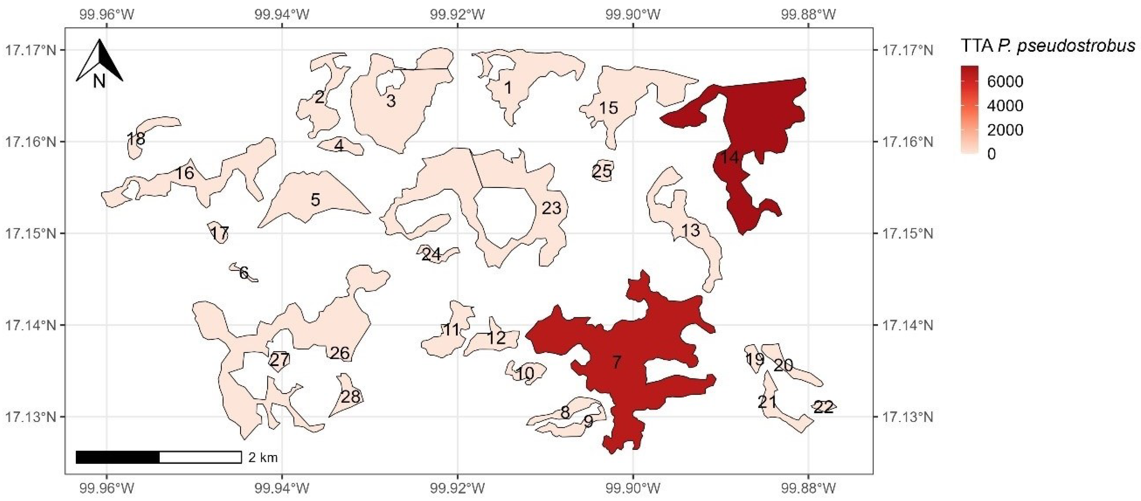 Forests 15 00916 g005