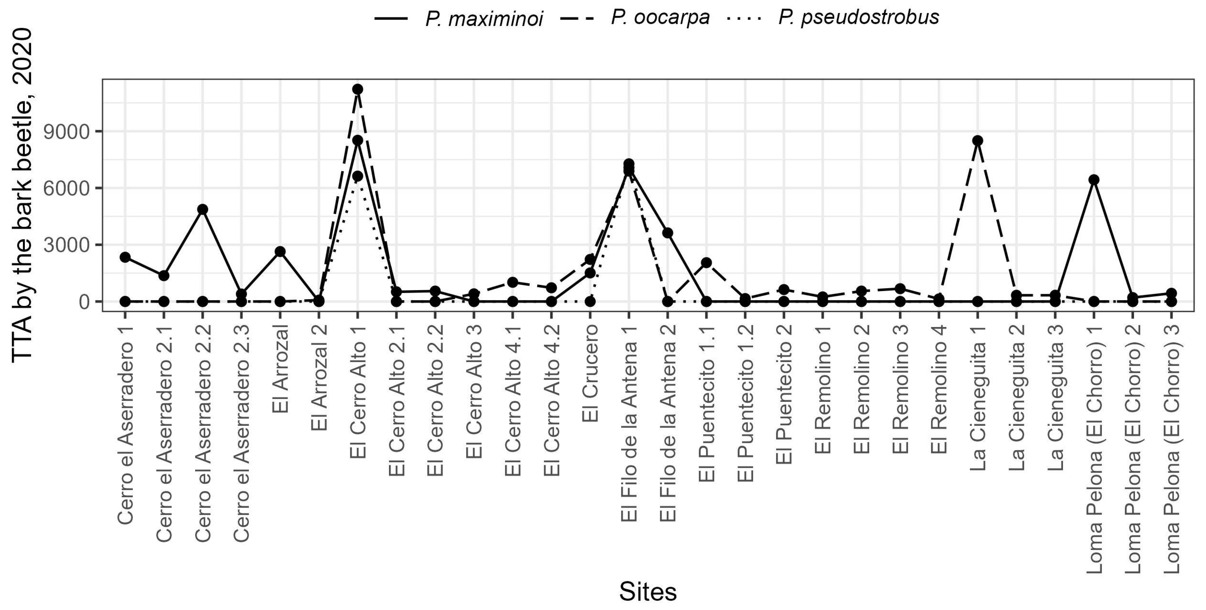 Forests 15 00916 g006