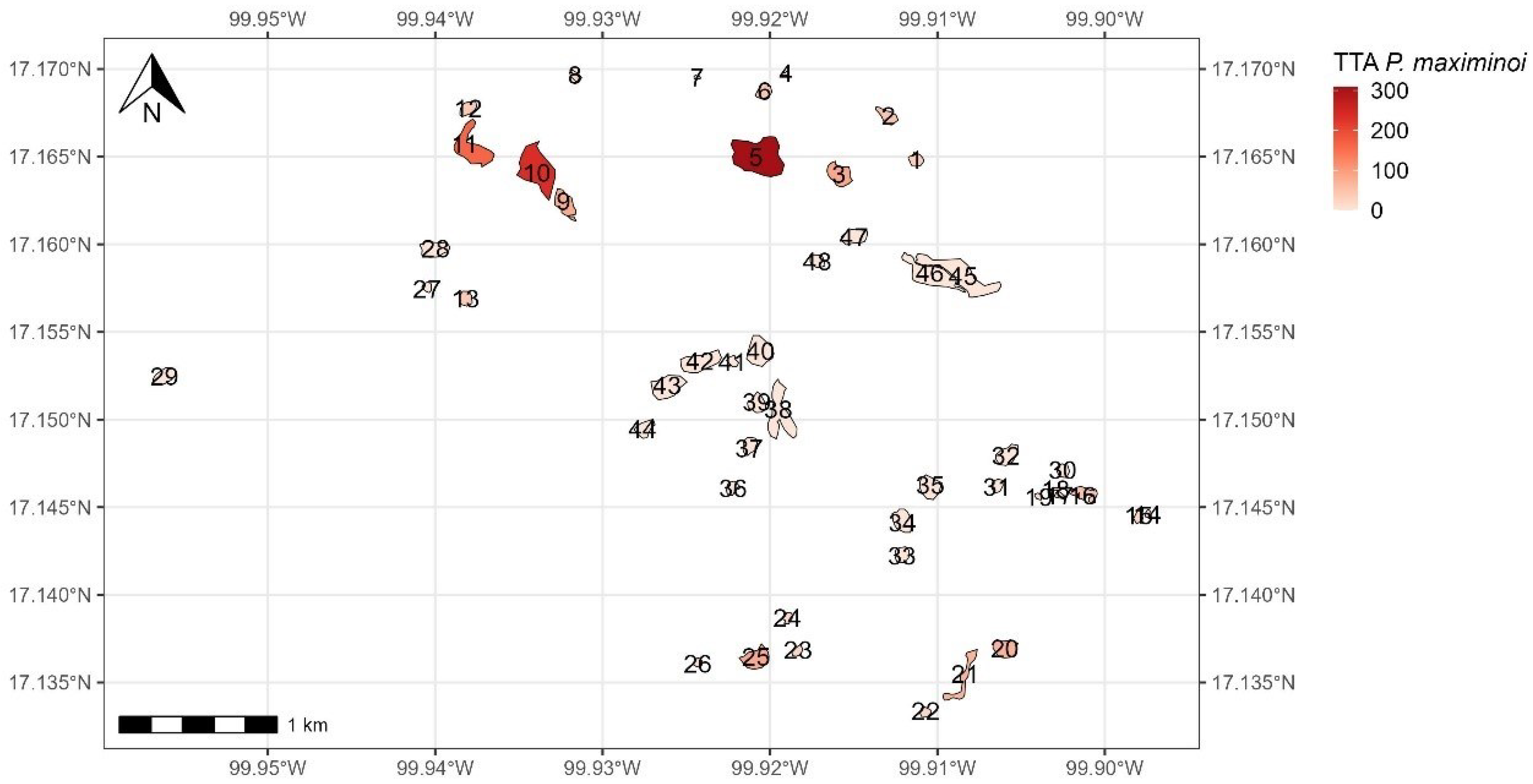 Forests 15 00916 g011