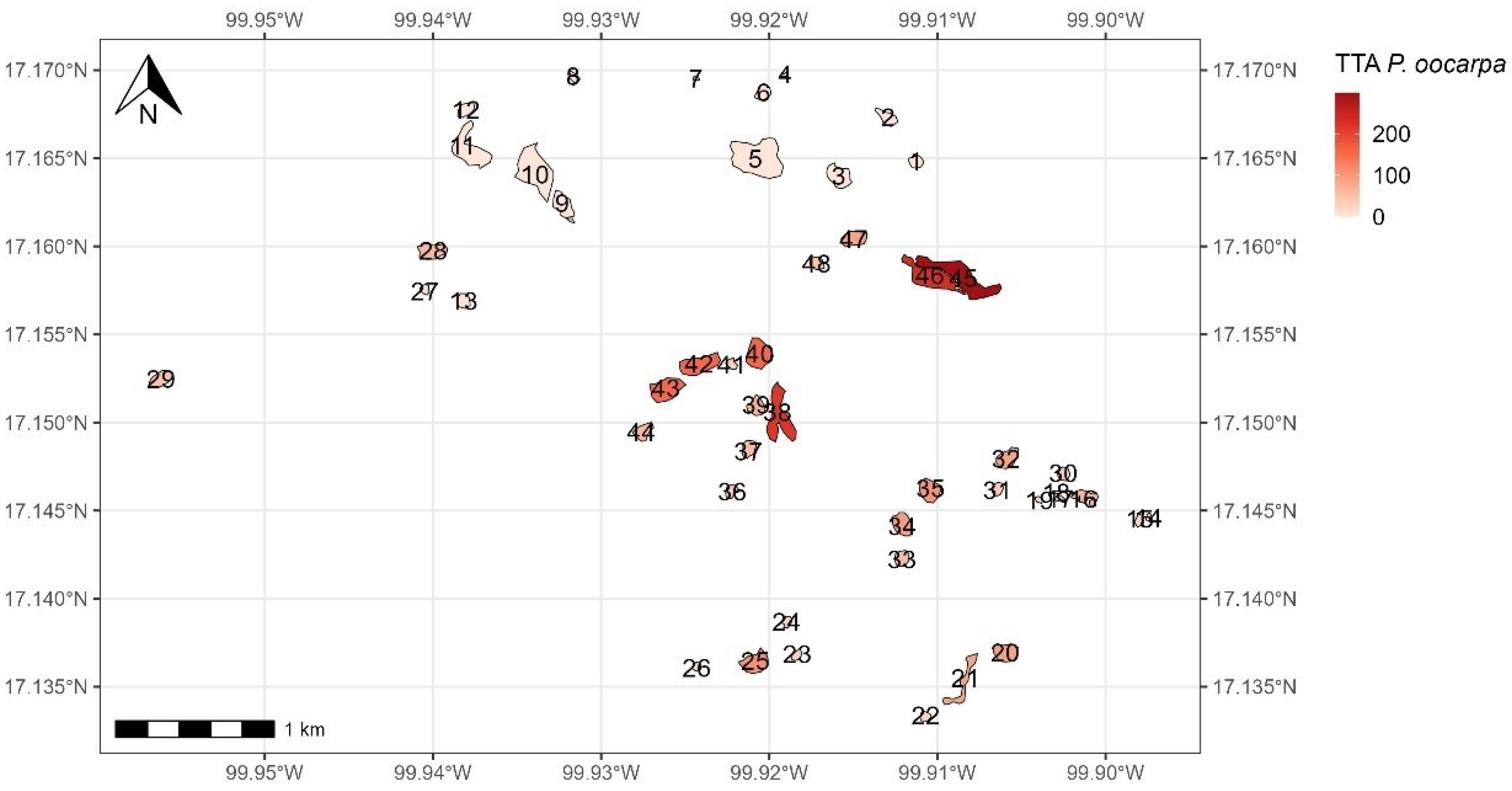 Forests 15 00916 g012