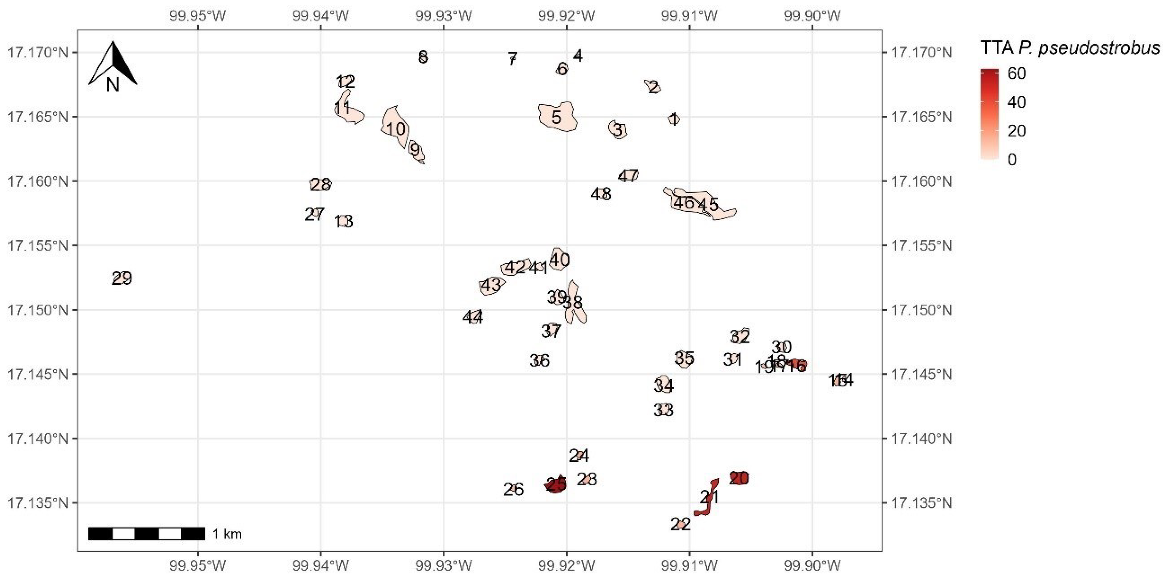 Forests 15 00916 g013
