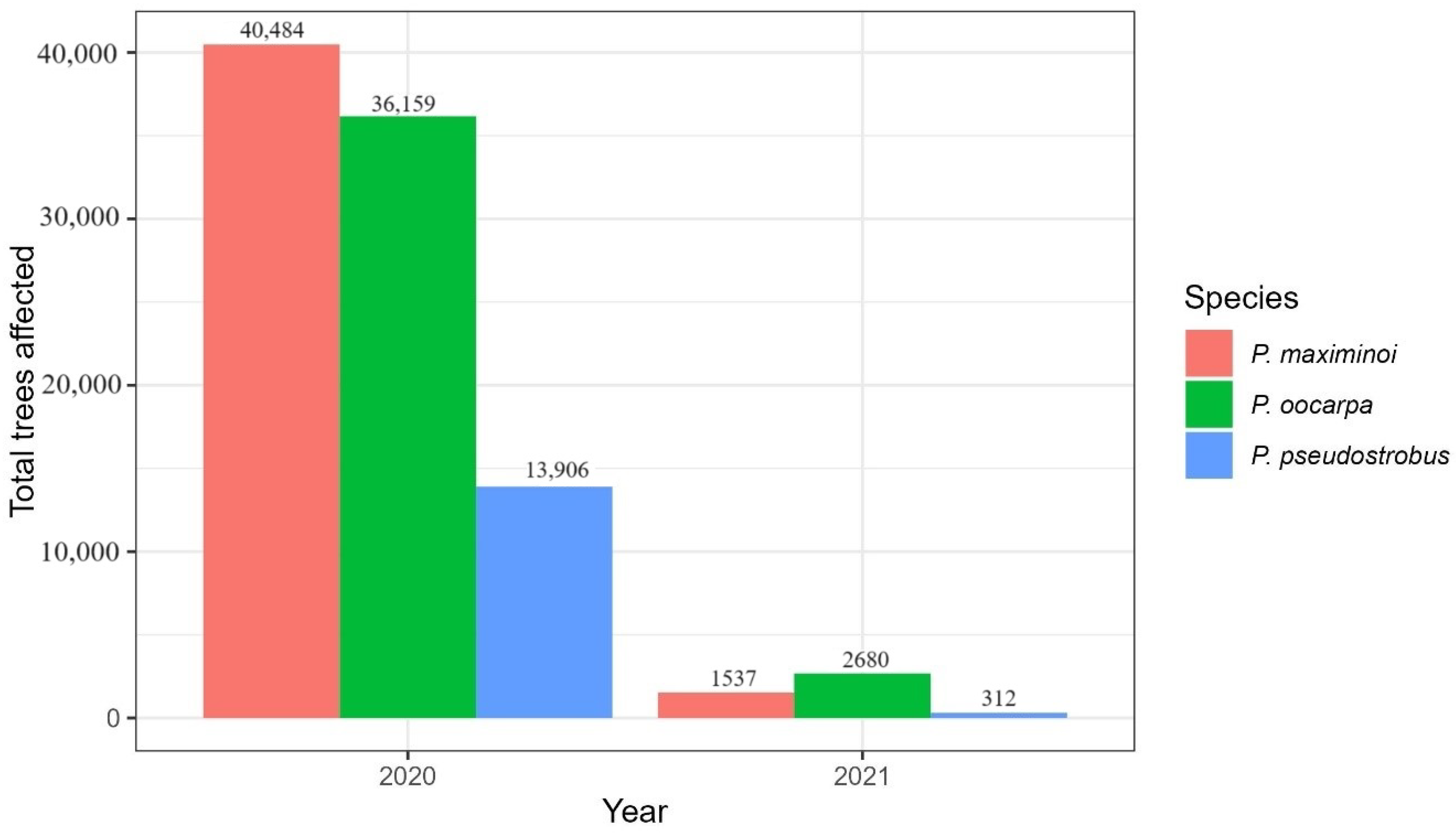 Forests 15 00916 g018
