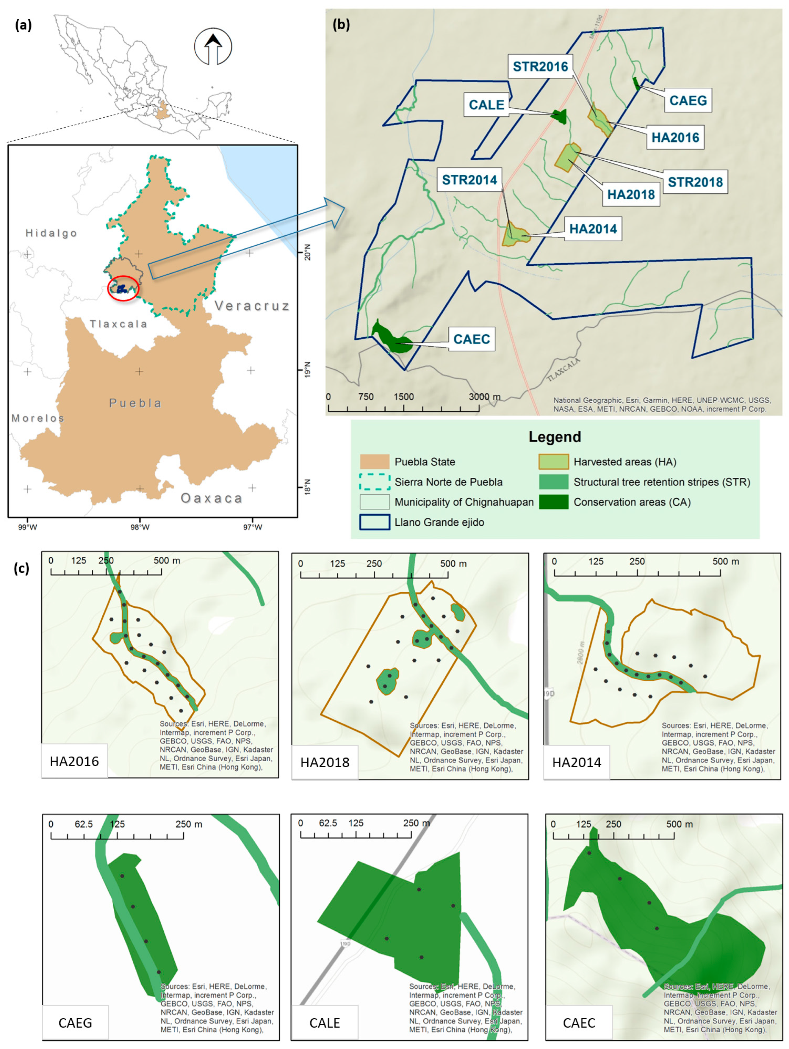 Forests 15 00920 g001