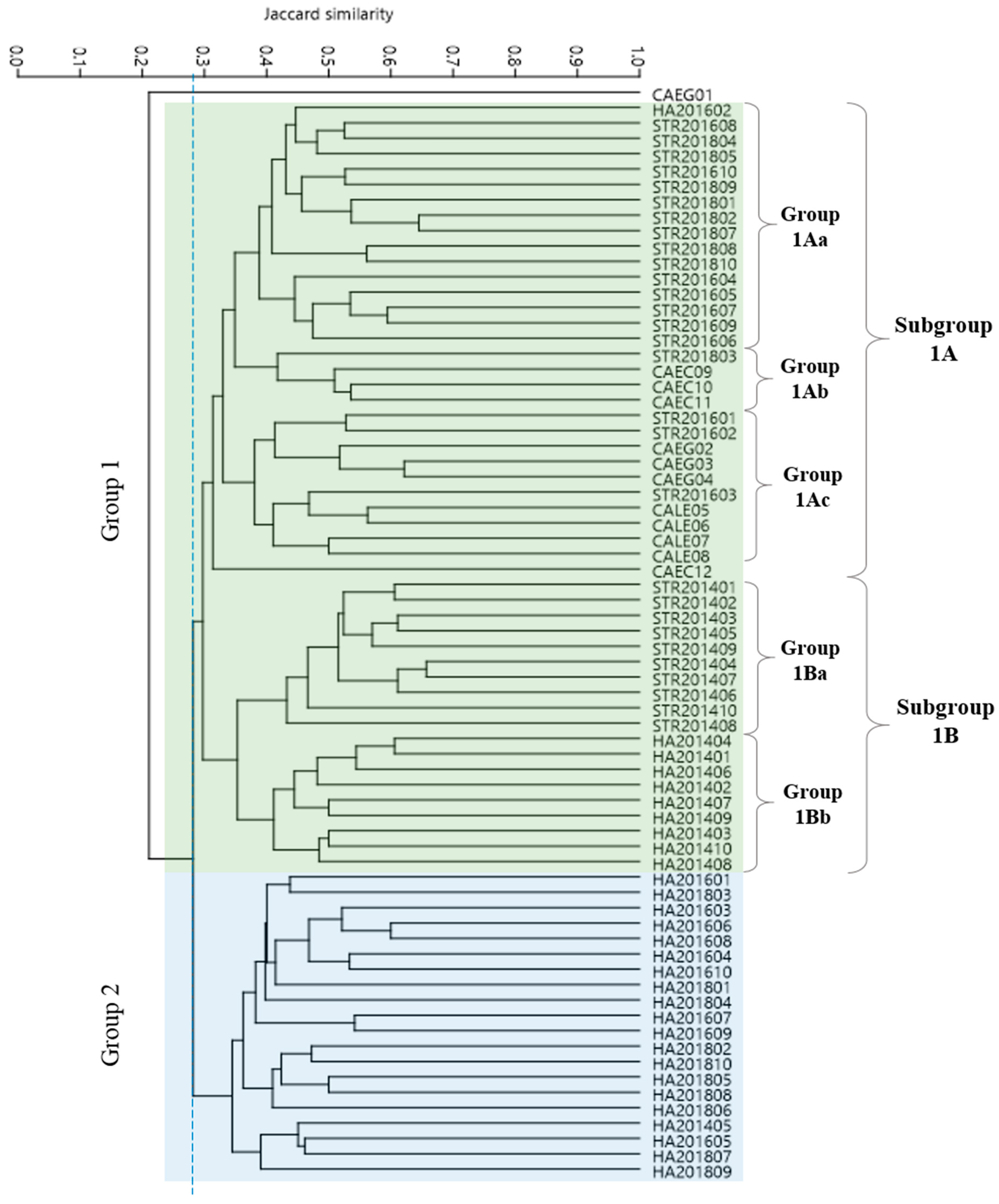 Forests 15 00920 g004