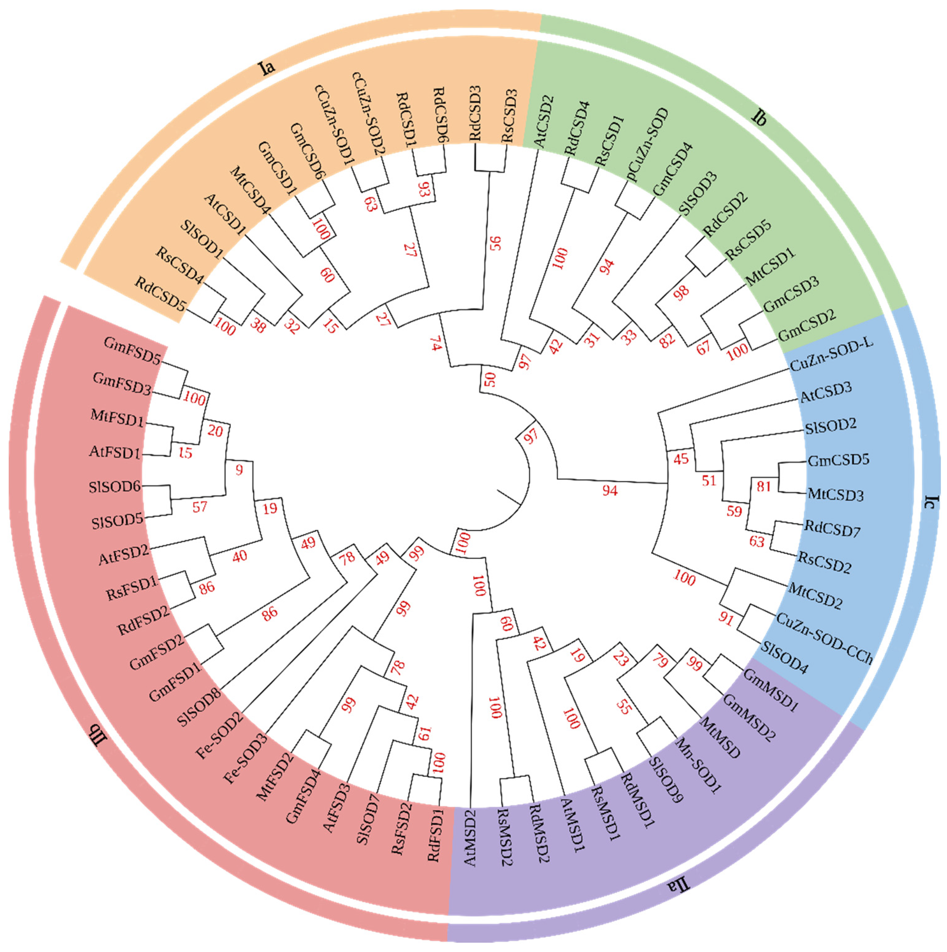 Forests 15 00931 g001 Forests 15 00931 g001