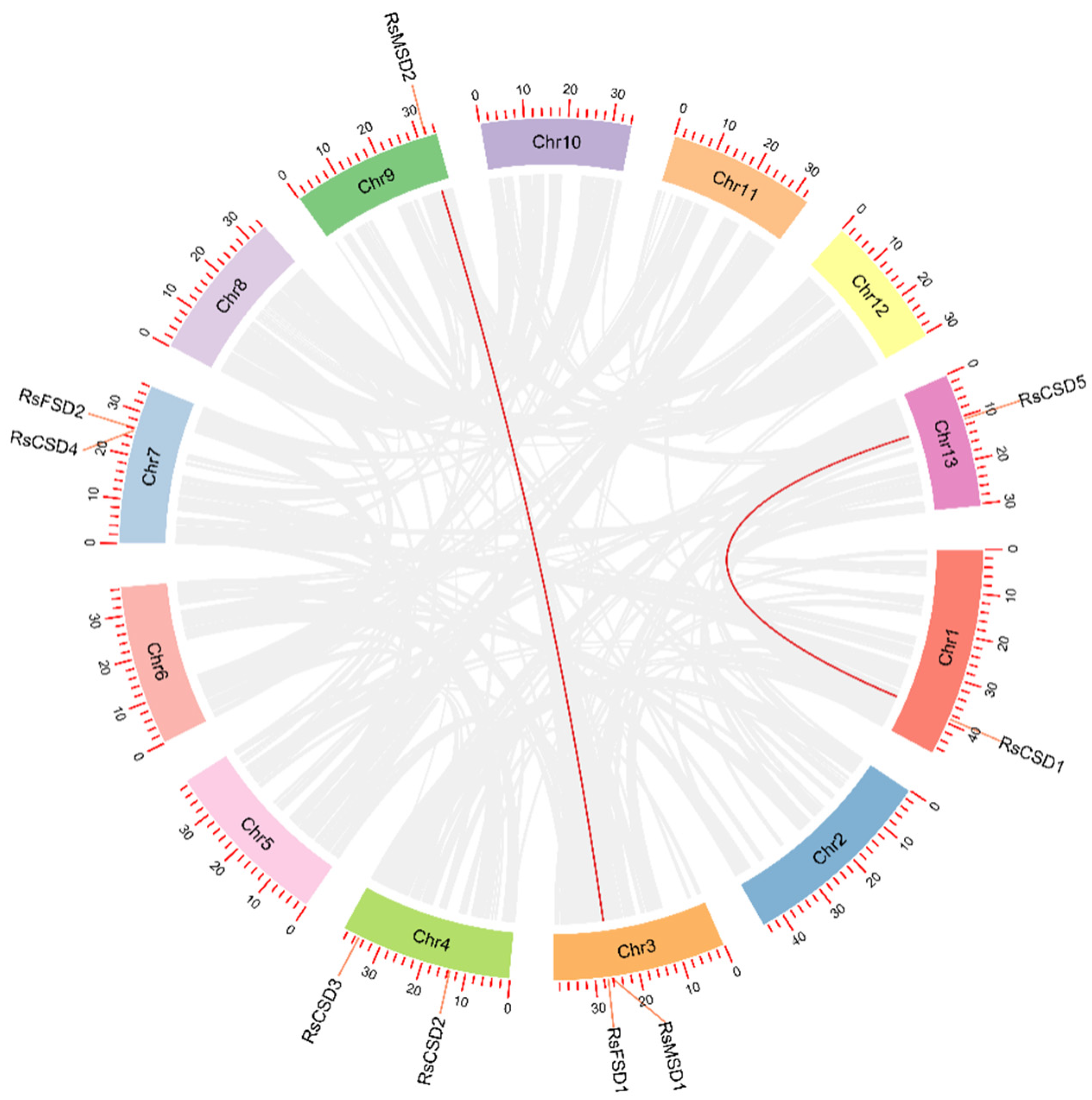 Forests 15 00931 g003 Forests 15 00931 g003