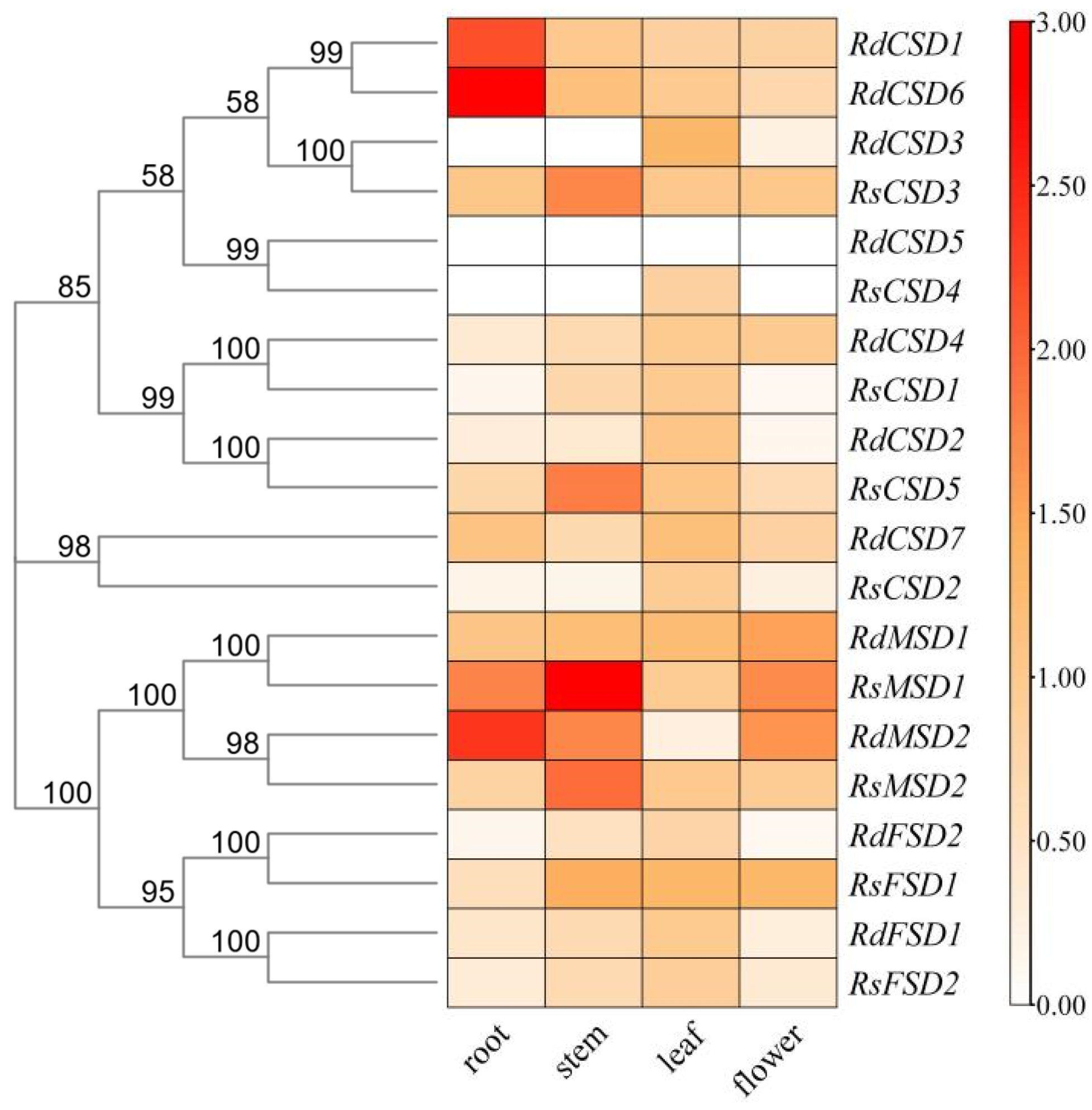 Forests 15 00931 g006 Forests 15 00931 g006