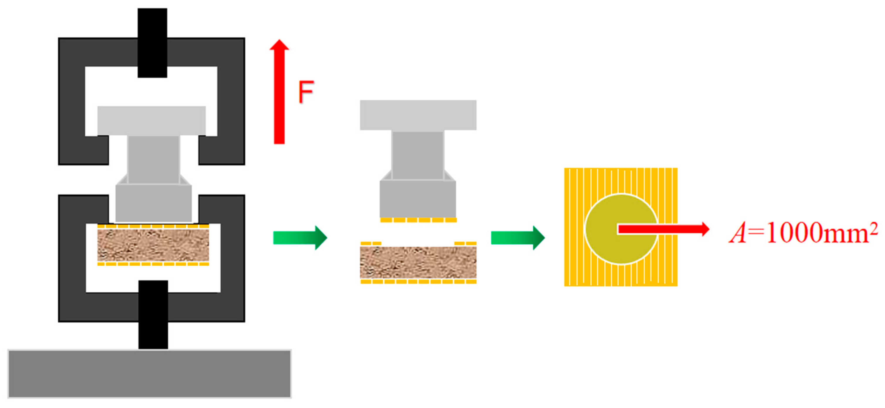 Forests 15 00932 g002
