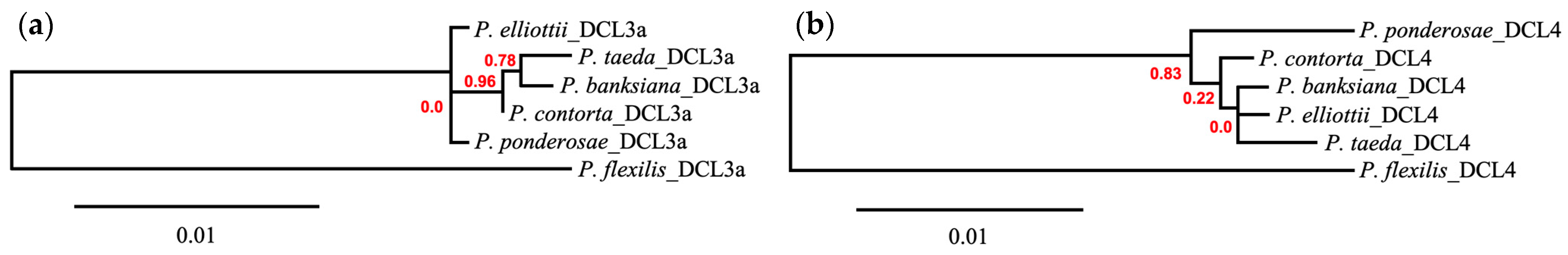 Forests 15 00938 g004