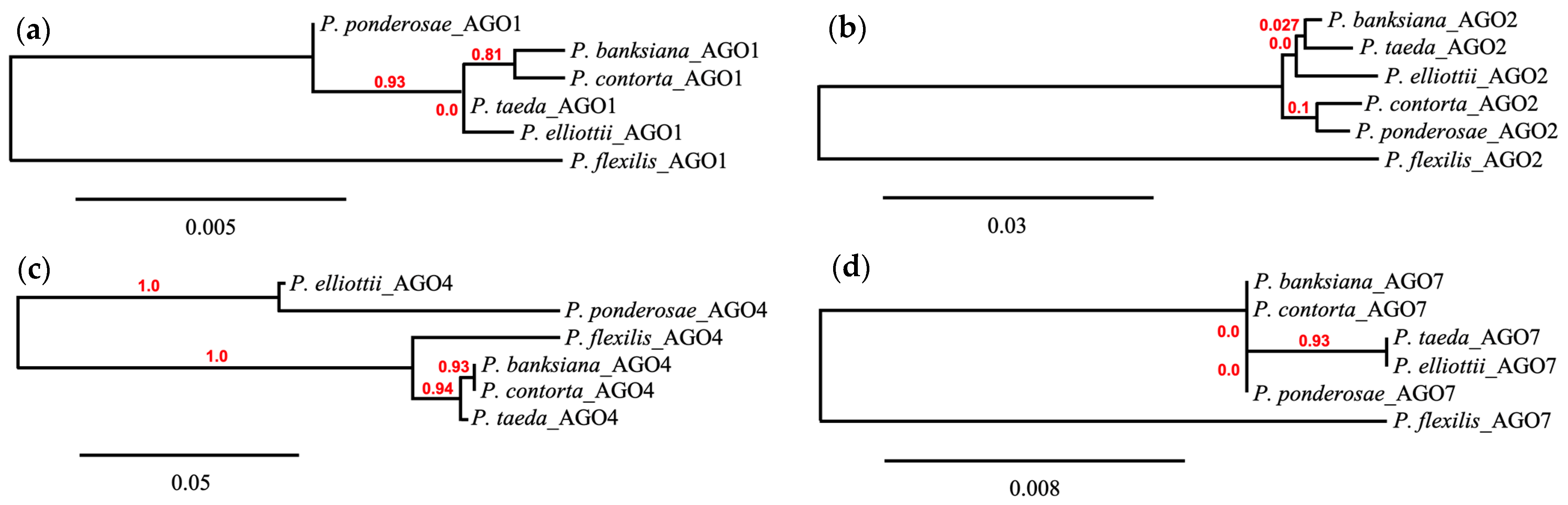 Forests 15 00938 g005