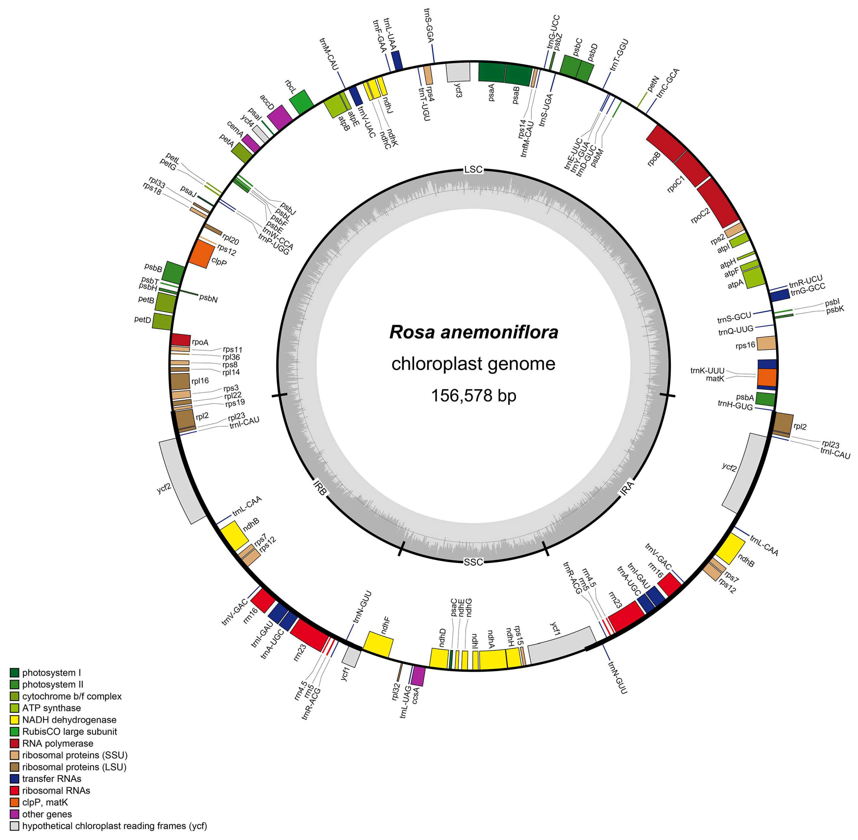 Forests 15 00940 g001