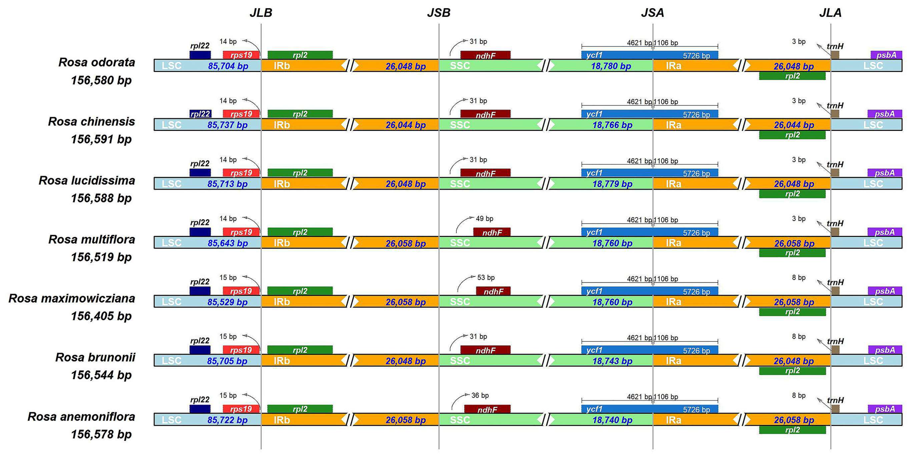 Forests 15 00940 g003