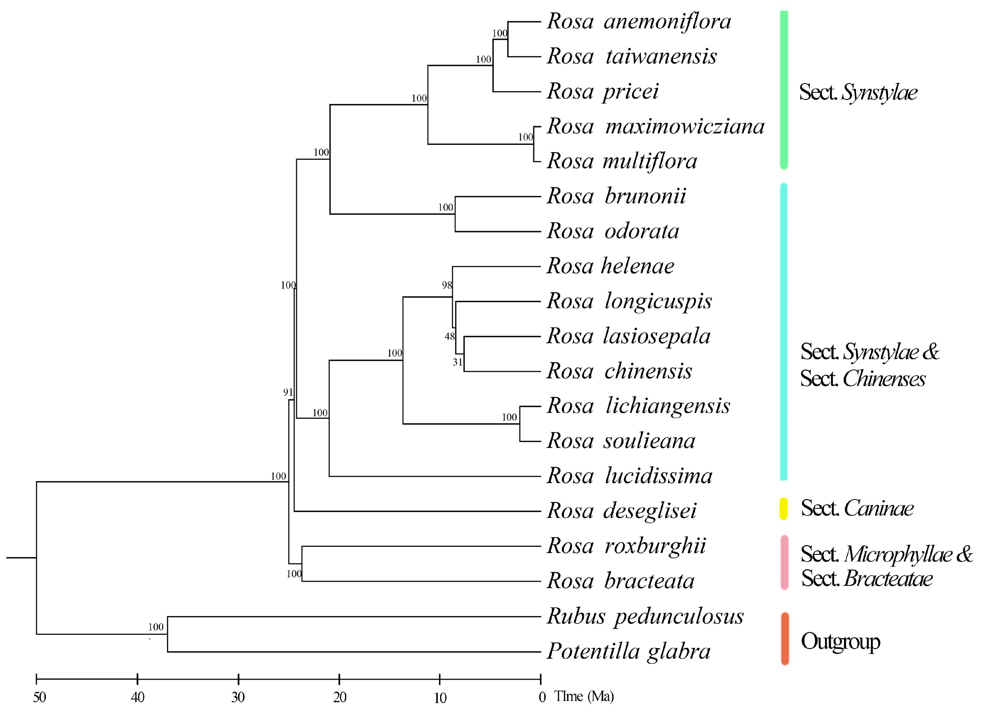 Forests 15 00940 g005