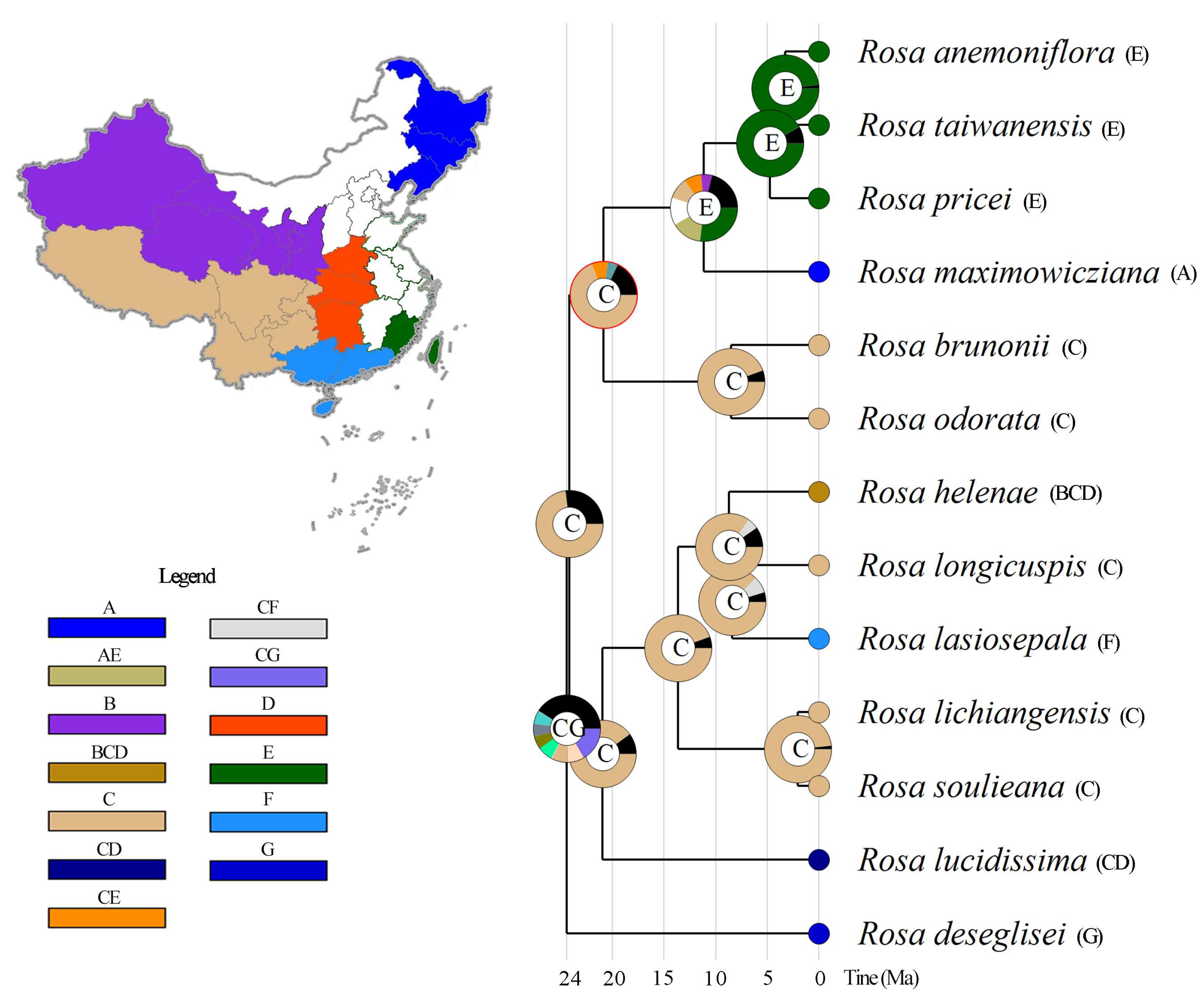 Forests 15 00940 g006