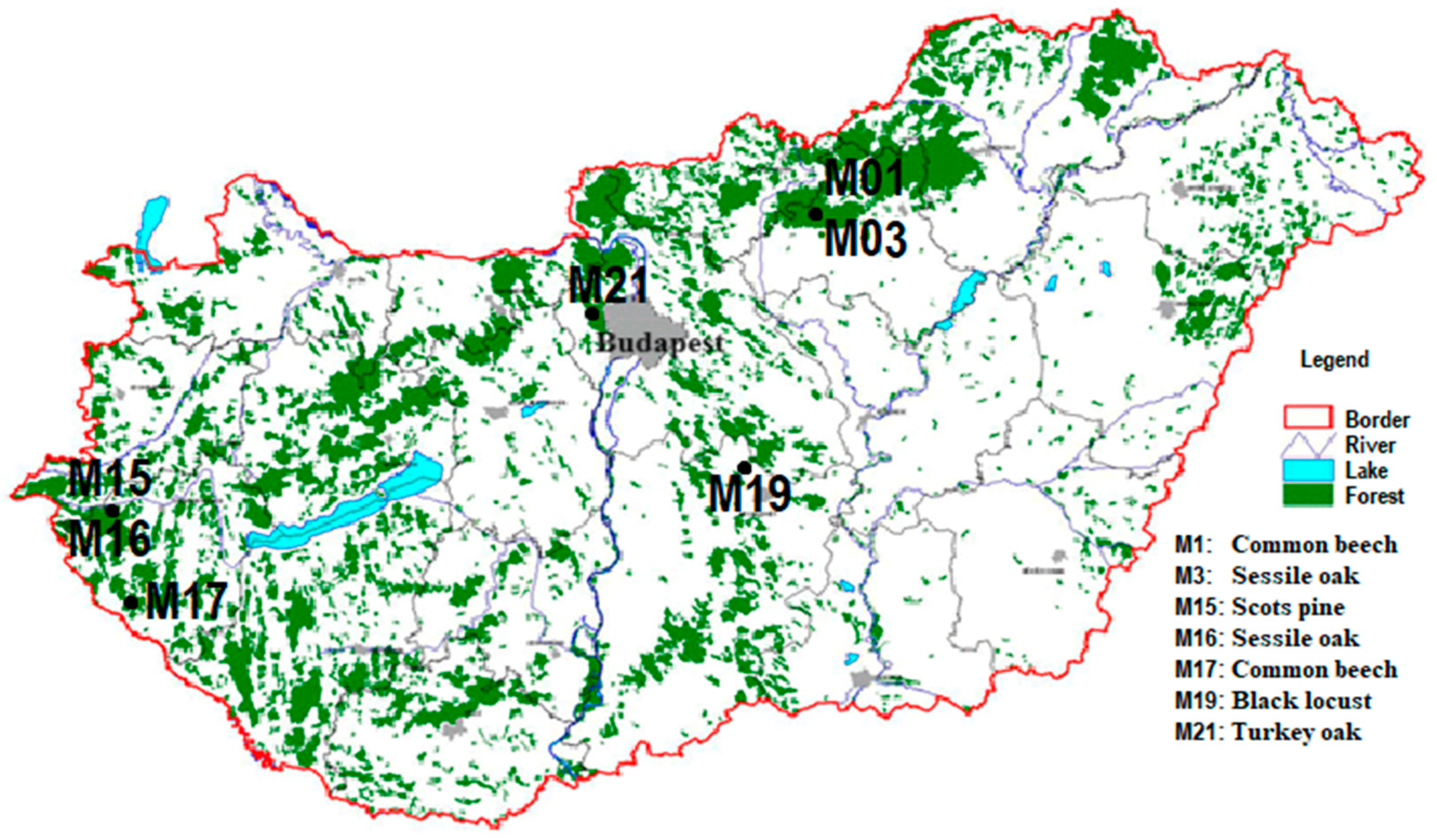 Forests 15 00941 g001