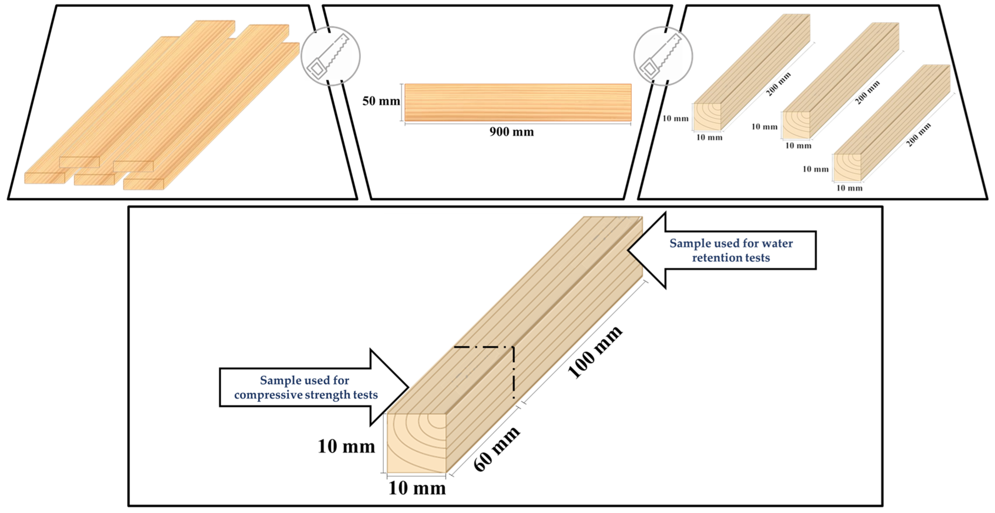 Forests 15 00944 g001