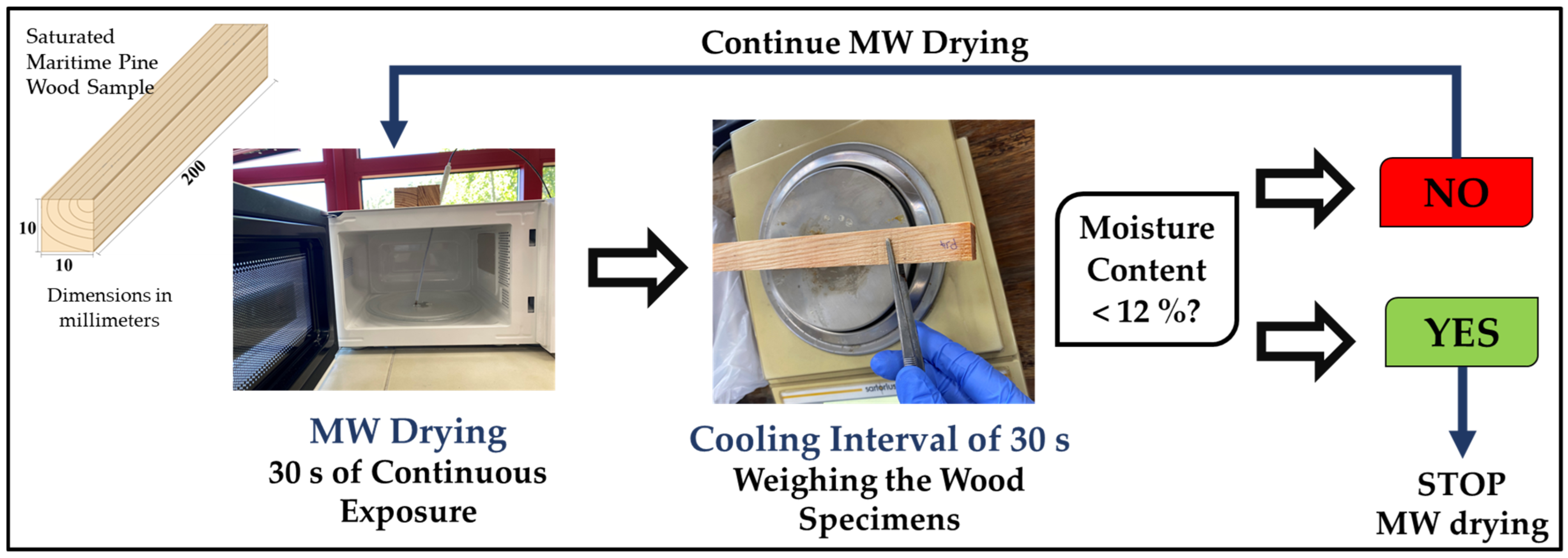 Forests 15 00944 g003