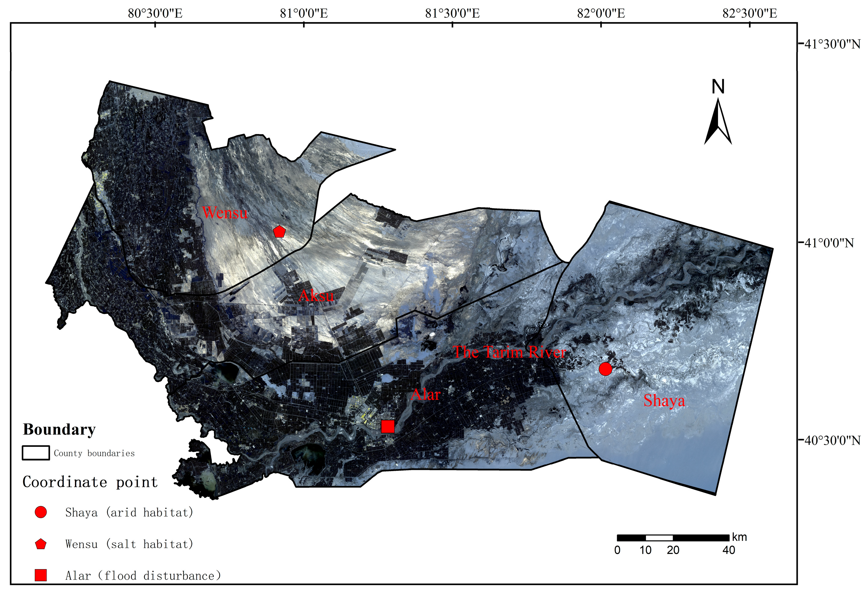 Forests 15 00949 g001