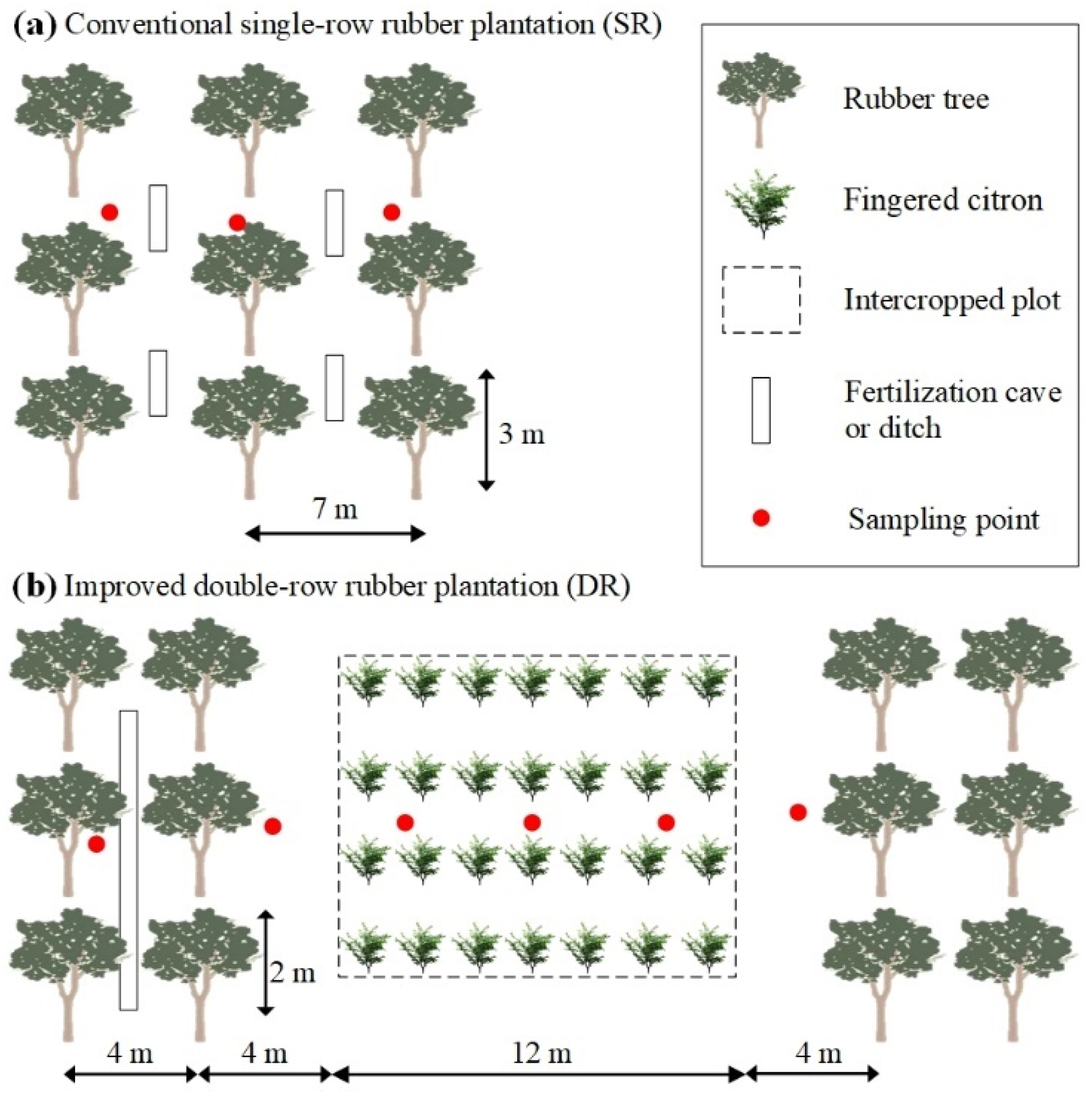 Forests 15 00950 g002 Forests 15 00950 g002