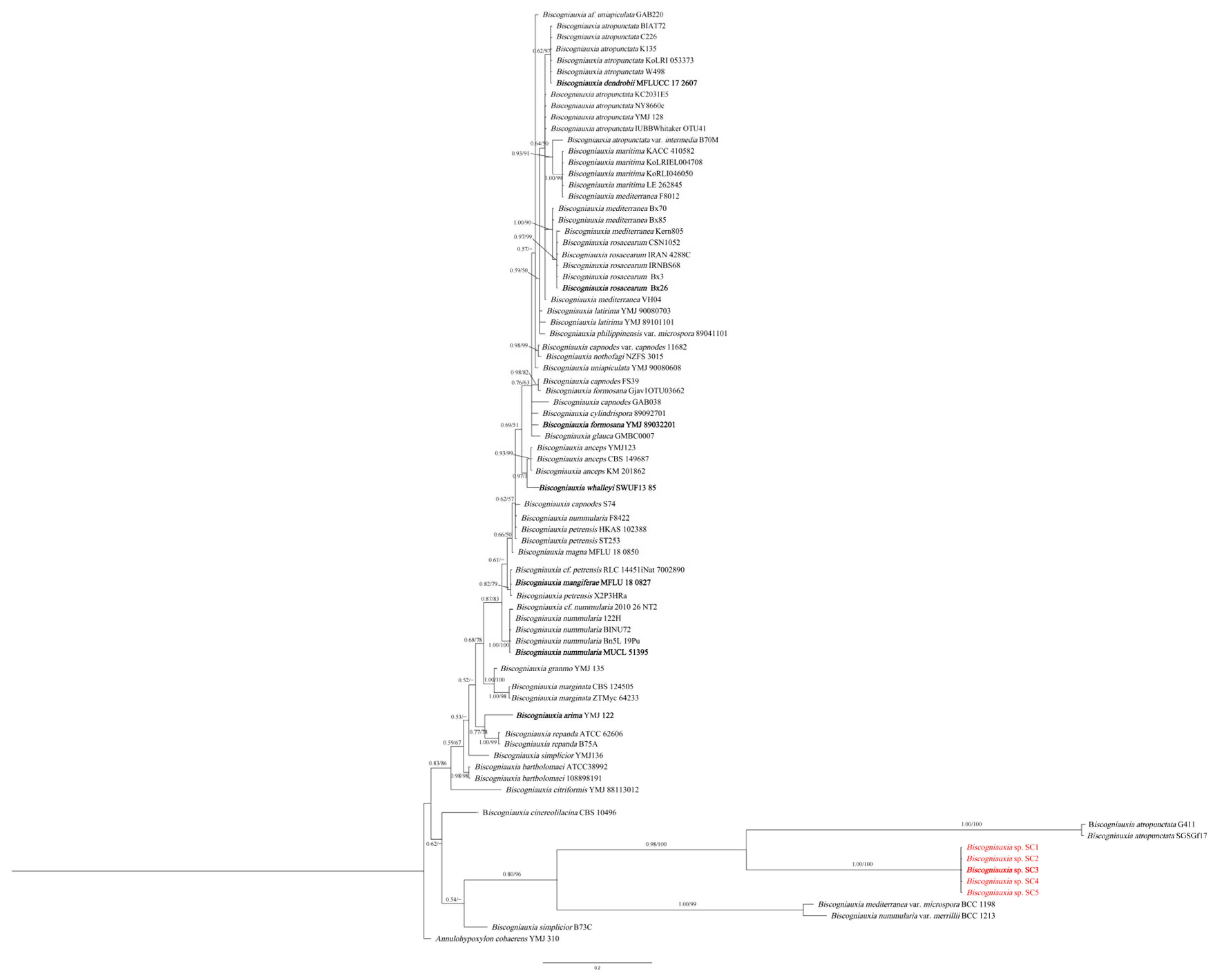 Forests 15 00956 g001